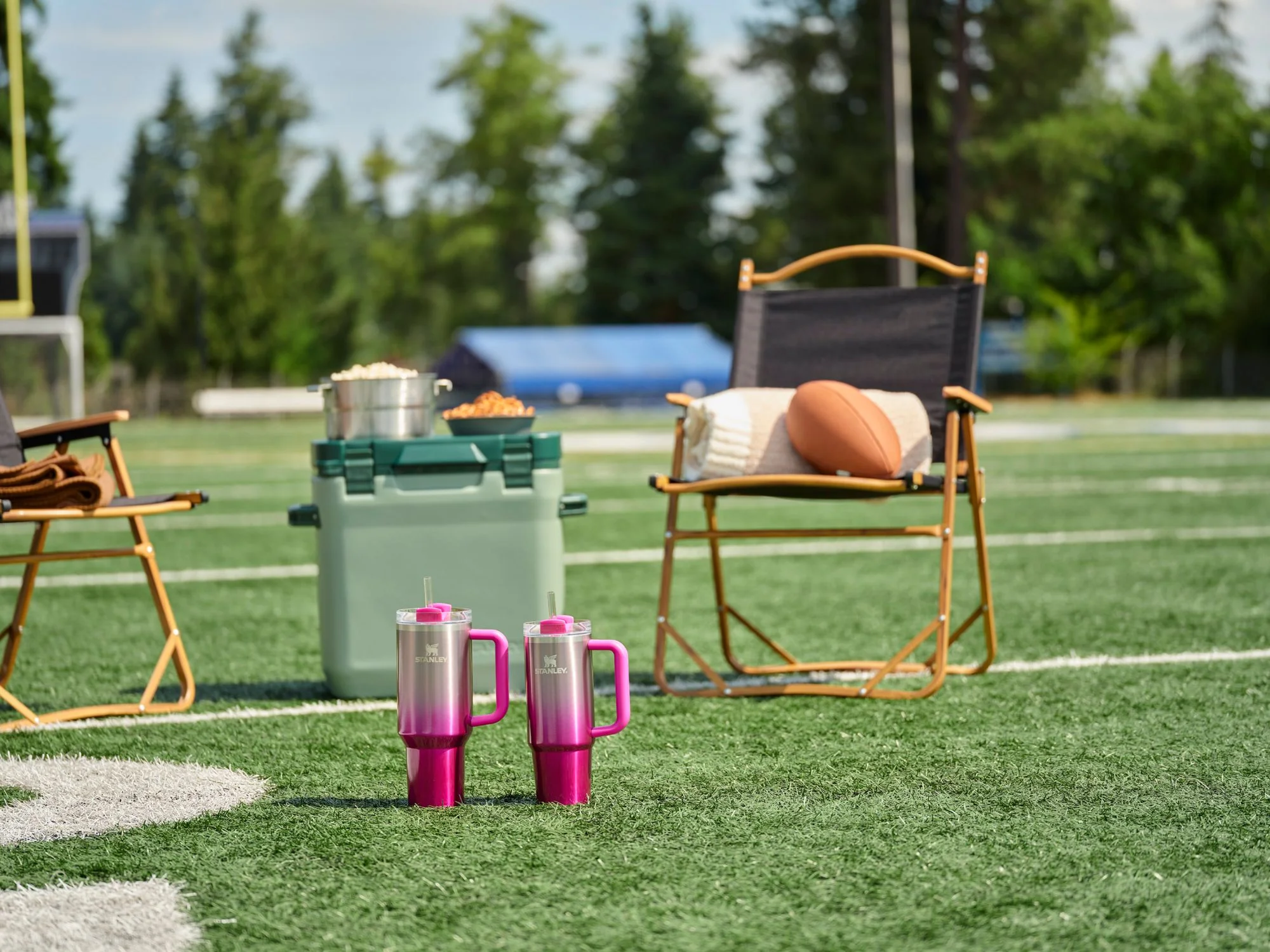 Stanley 40z Tumbler Cup Camelia Gradient Pink