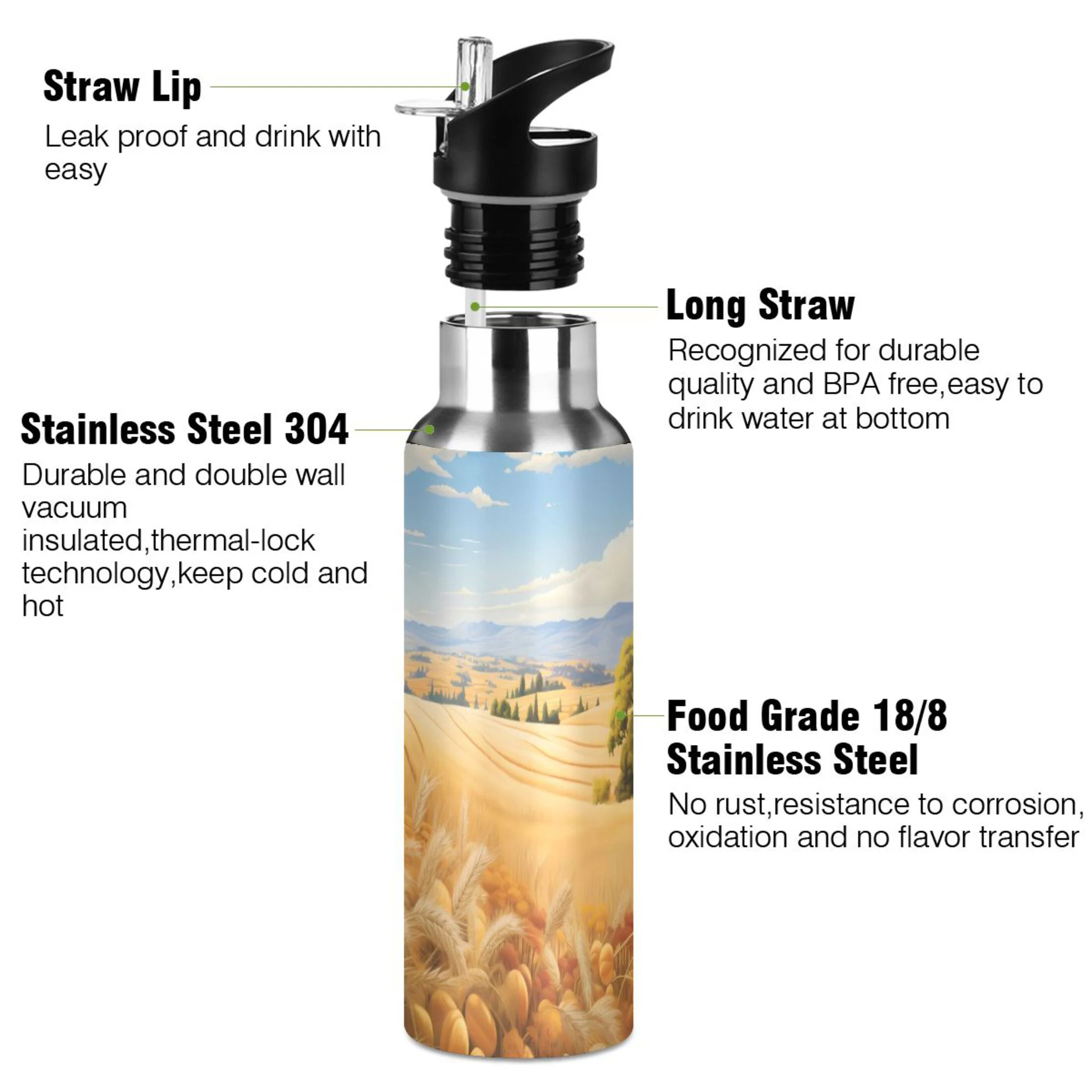 Water Bottle with Straw Lid Leak Fields Stainless Steel Insulated Thermos Vacuum Flask for Cold Hot Drinking for Sports Camping Gym Yoga