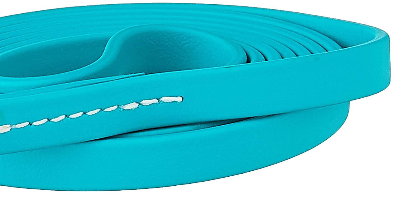 J&J Dog Supplies Biothane Dog Leash, 1/2