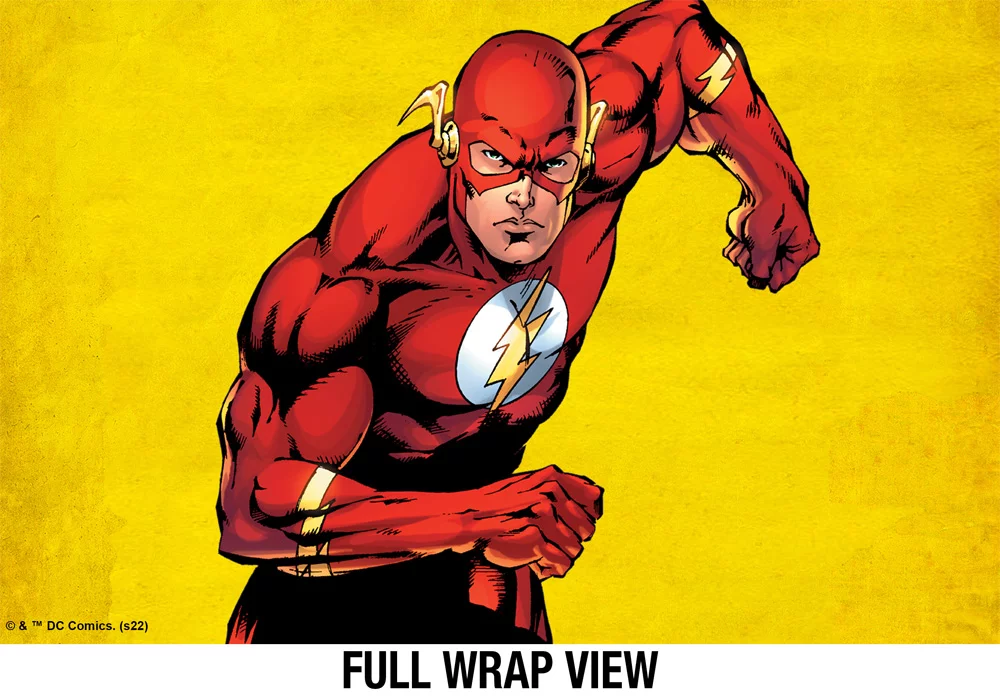 DC Flash Official Character 18 oz Insulated Water Bottle, Leak Resistant, Vacuum Insulated Stainless Steel with 2-in-1 Loop Cap