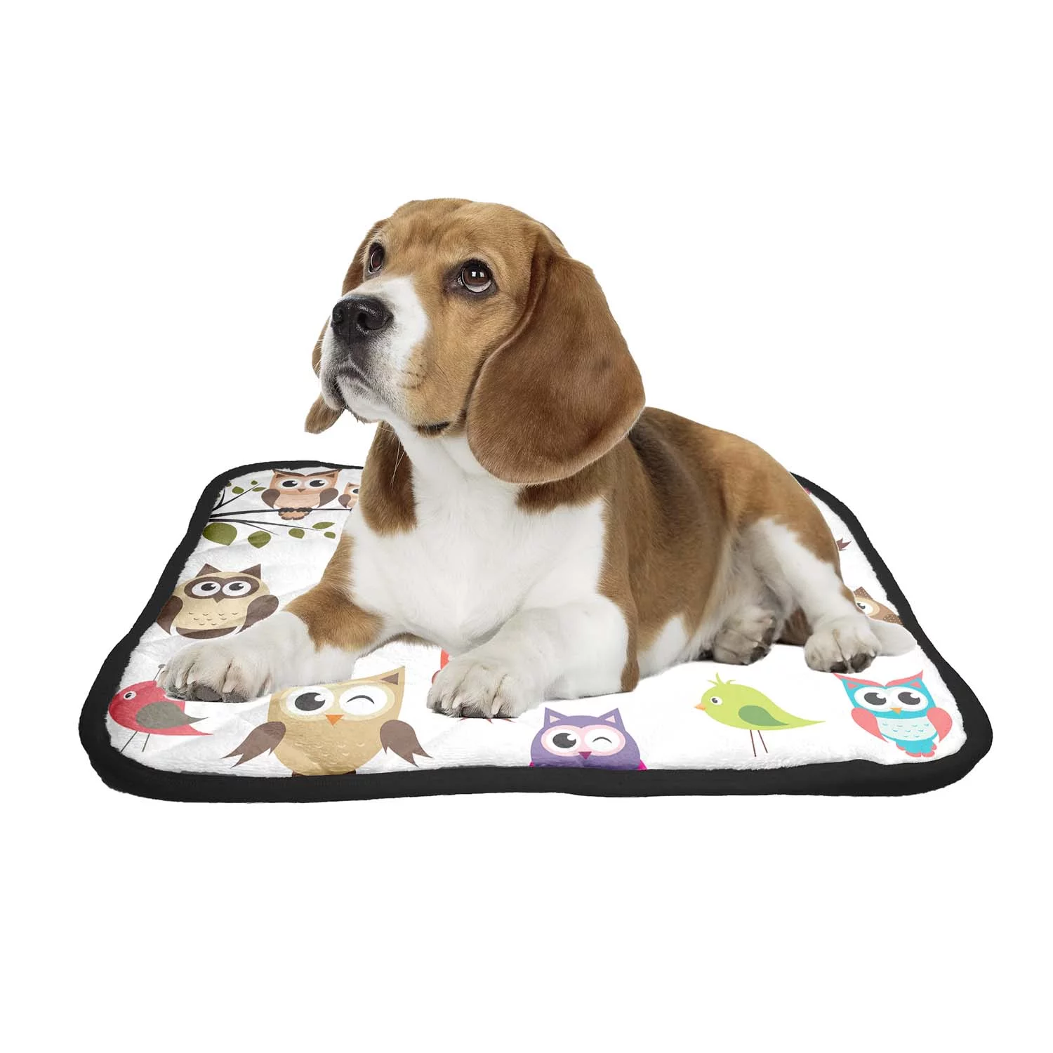 PKQWTM Set Of Owls Pet Dog Cat Bed Pee Pads Mat Cushion Potty Dogs Blankets Crate Bed Kennel 36x48 inch