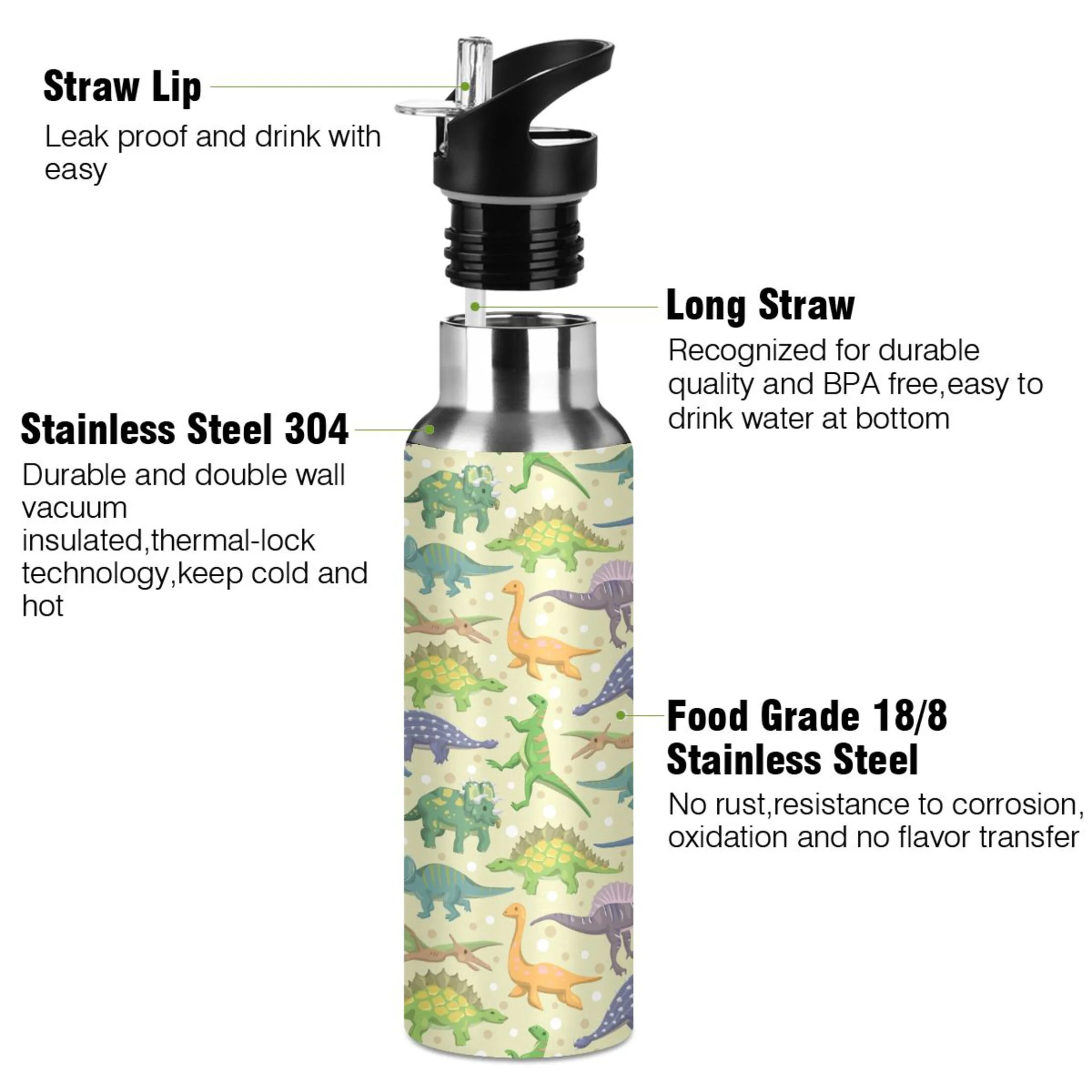 Stainless Steel Water Bottle Dinosaurs Pattern with Straw Lid Vacuum Insulated Keeps Hot and Cold Leak Proof Flask Jug for Gym Travel Sports Cycling Outdoor 20 OZ
