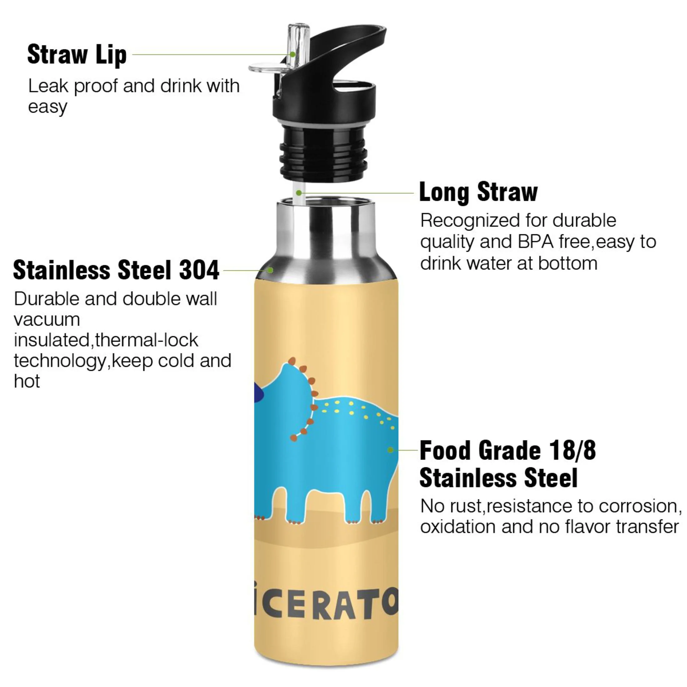 Stainless Steel Water Bottle Triceratops Dinosaur with Straw Lid Vacuum Insulated Keeps Hot and Cold Leak Proof Flask Jug for Gym Travel Sports Cycling Outdoor 20 OZ