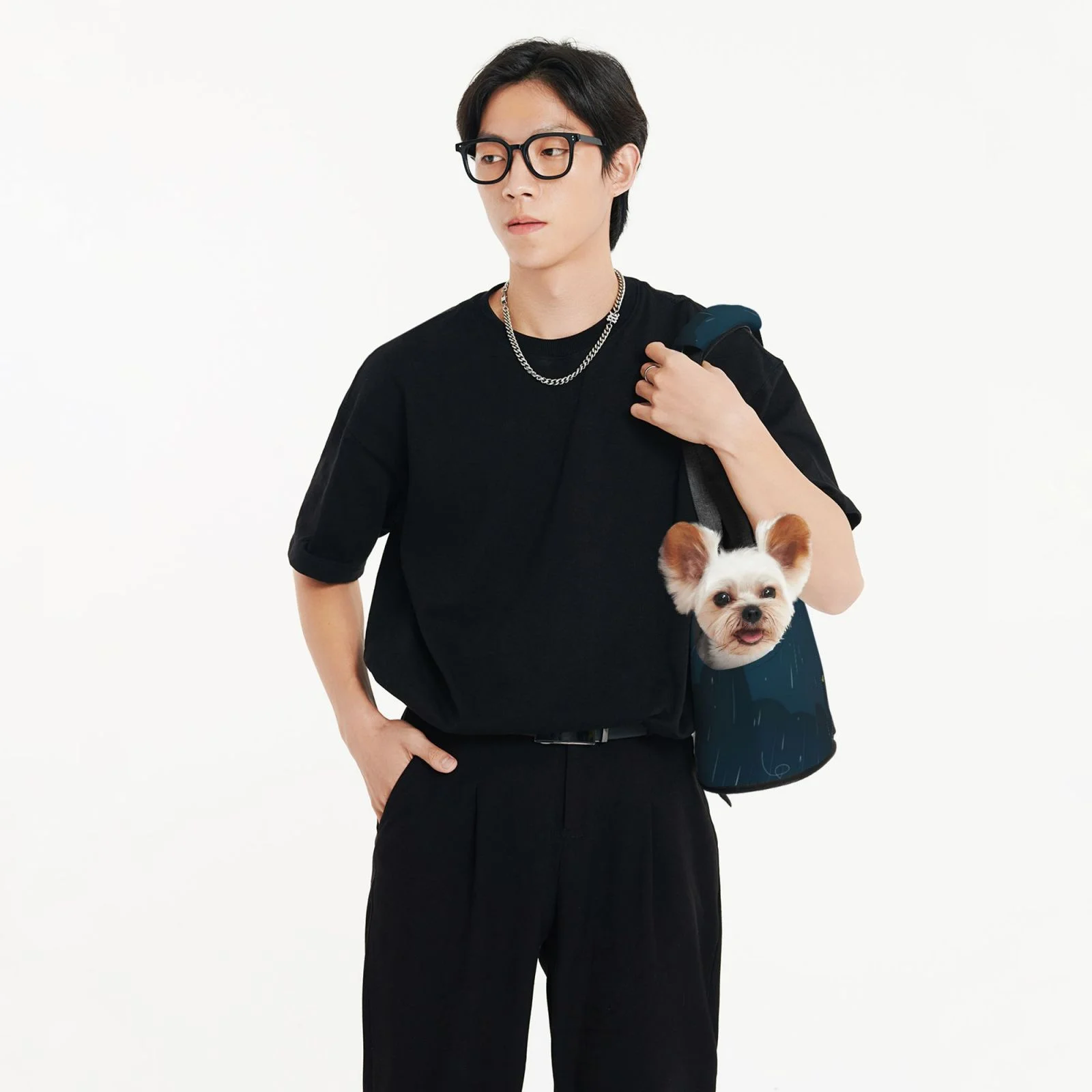 LNWH Blue Rainy Season Pattern Dog Carrier Bag, Pet Dog Carrier Purse Foldable Waterproof Pet Tote Bag for Cat and Small Dog