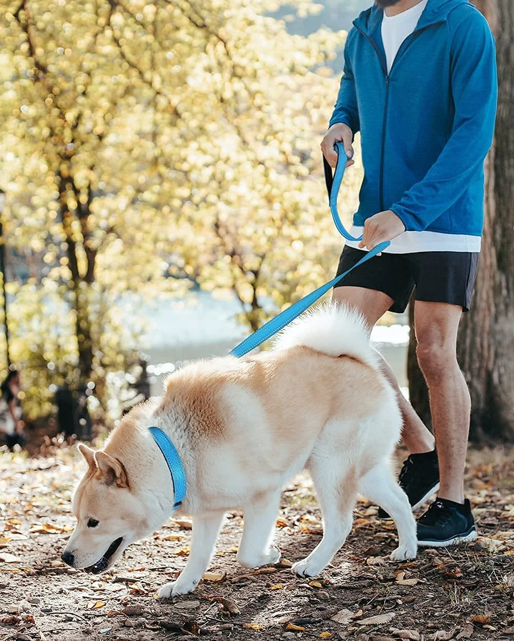Dog Collar Bundle with 5FTx1 Width Double-Sided Reflective Dog Leash,5FT Nylon Dog Leashes with Nylon Dog Collar for Small Dogs,SkyBlue