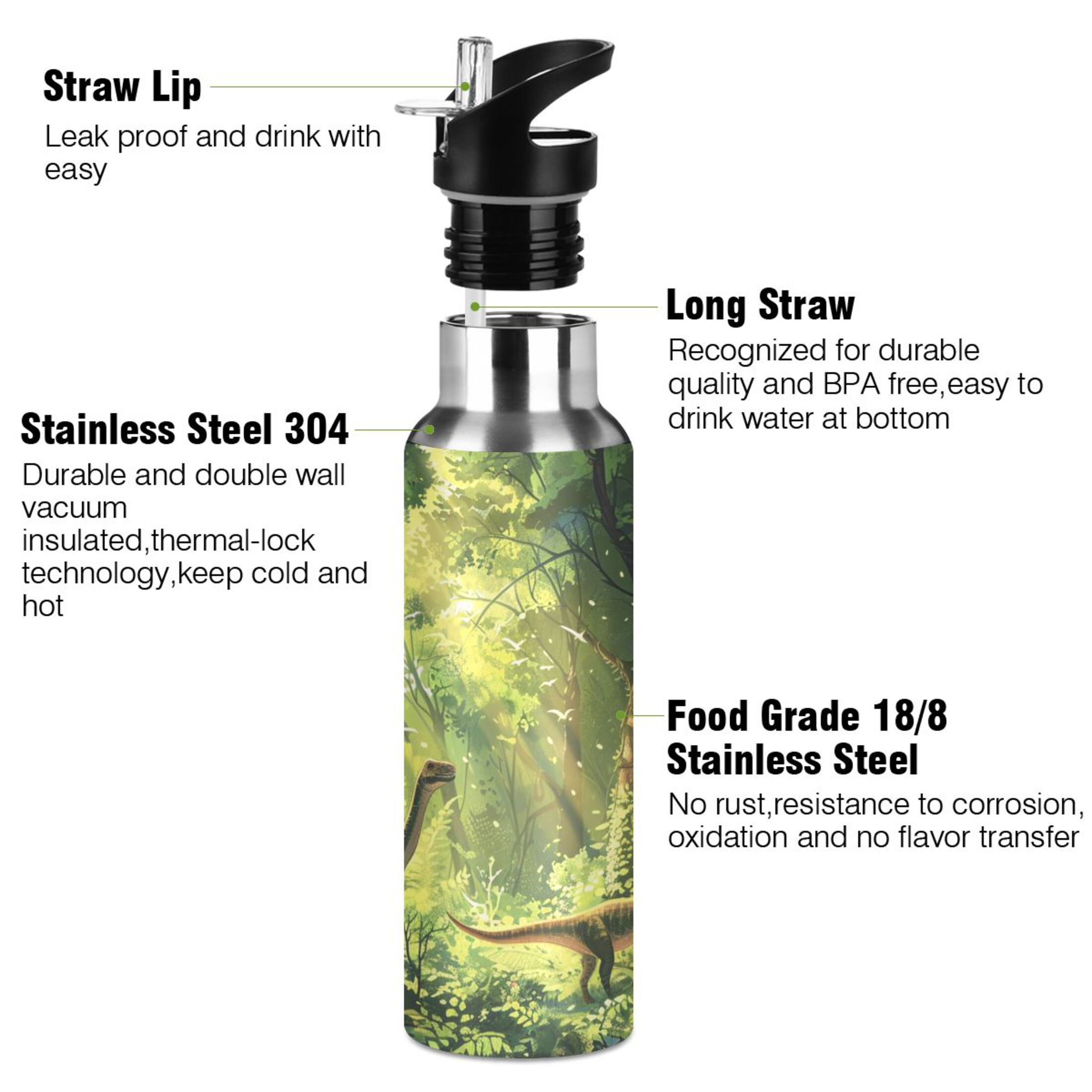 Dinosaurs in Forests Water Bottles Insulated Thermos Kids Stainless Steel Bottle with Straw Lid Flask Leakproof for Sports Gym 20 oz