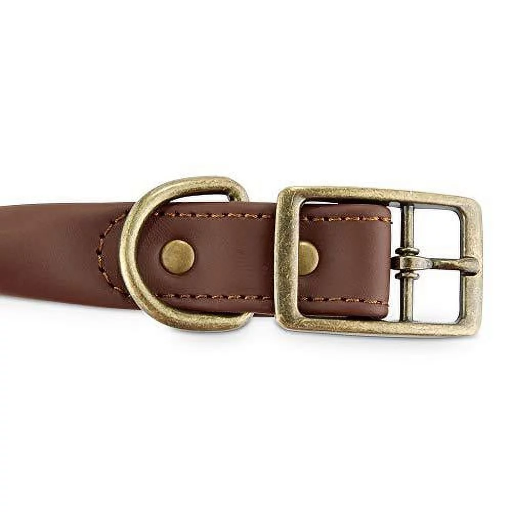 reddy brown leather dog collar, small by petco