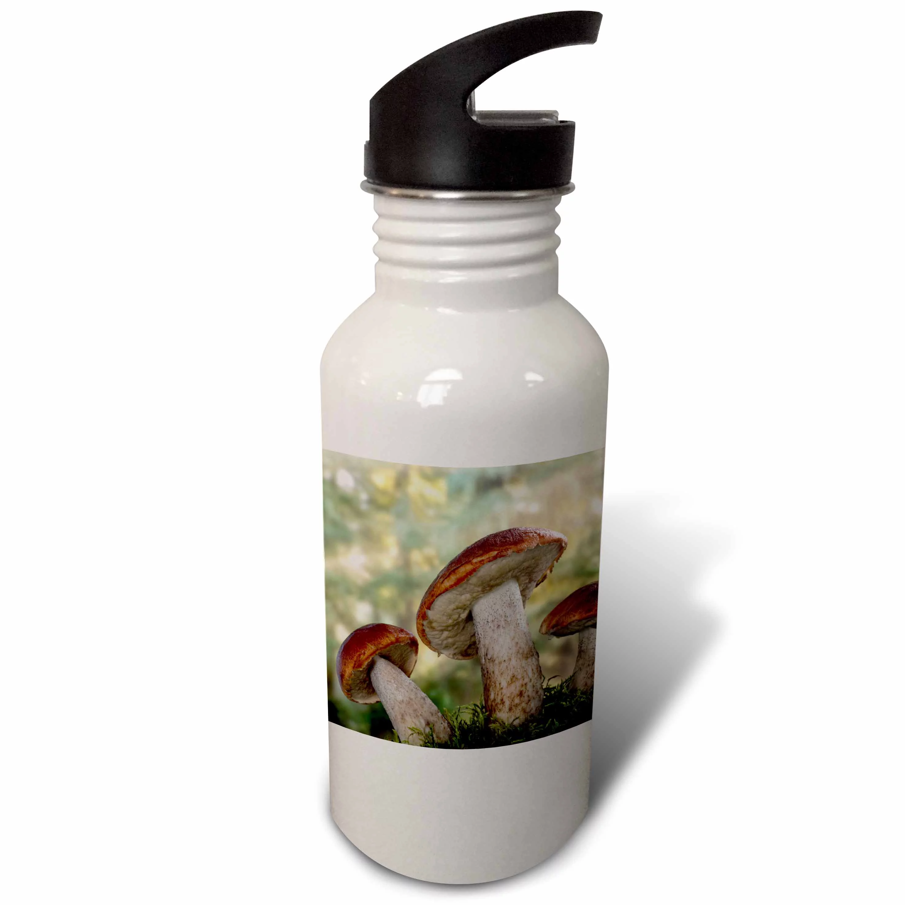 USA, Washington, Seabeck. Leccinum insigne, mushroom. 21 oz Sports Water Bottle wb-190764-1