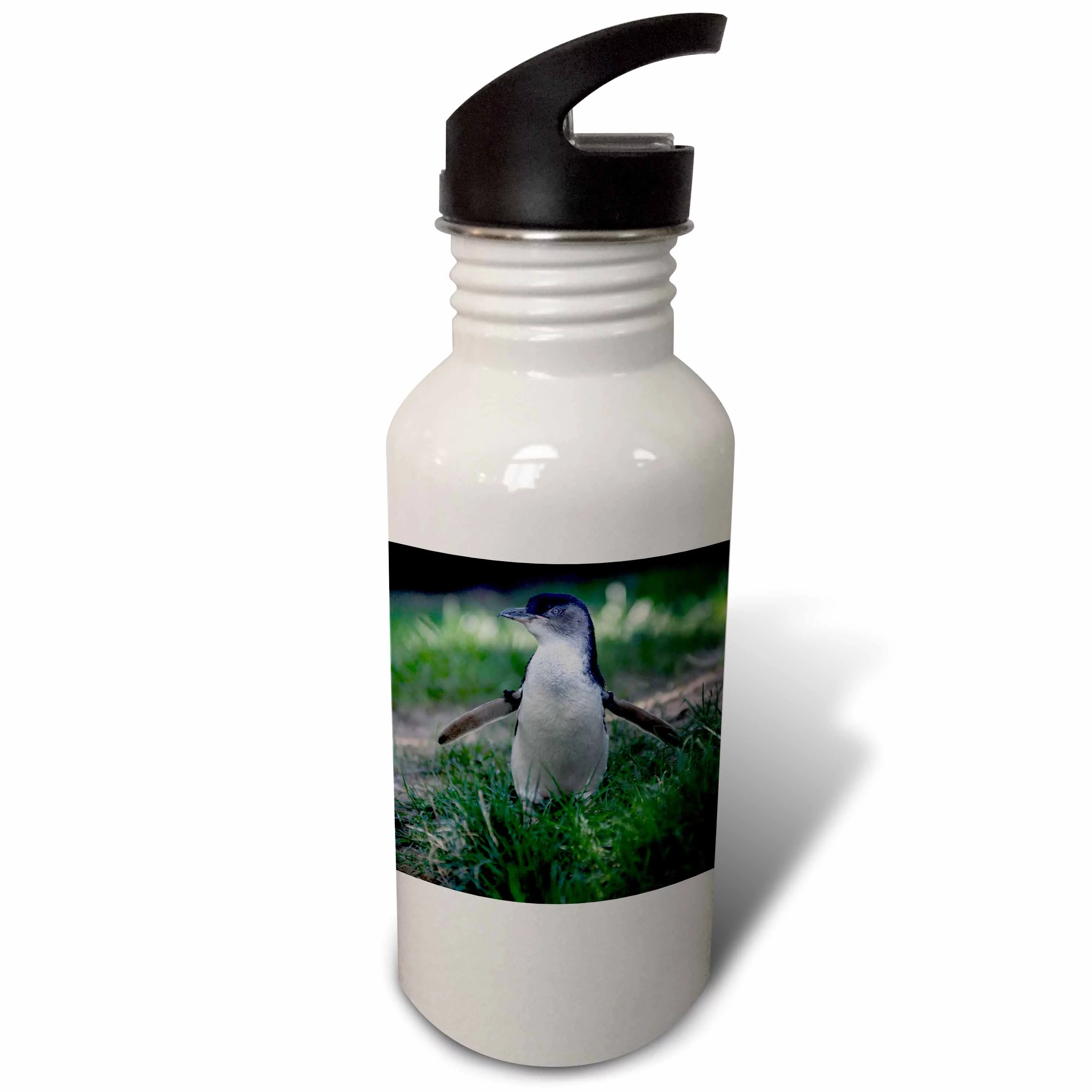 Omaha, Henry Doorly Zoo. Little Blue Penguin - US26 GHA0030 - Gayle Harper 21 oz Sports Water Bottle wb-91531-1