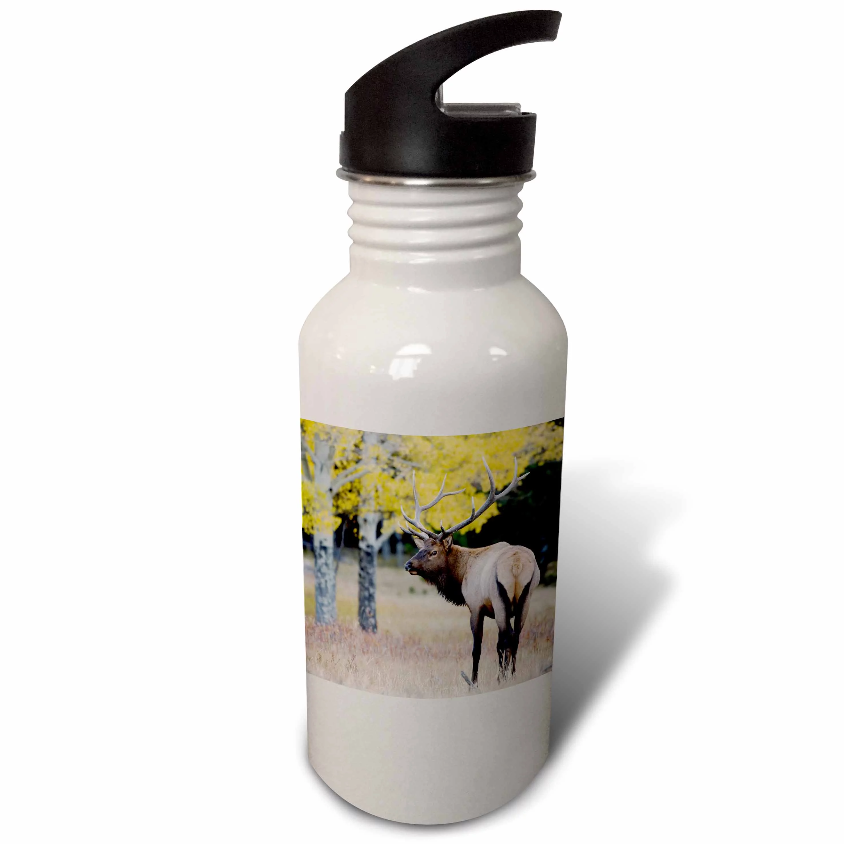 Elk wildlife, Wapiti, Rocky Mountain NP, Colorado - NA02 RNU0564 - Rolf Nussbaumer 21 oz Sports Water Bottle wb-84497-1