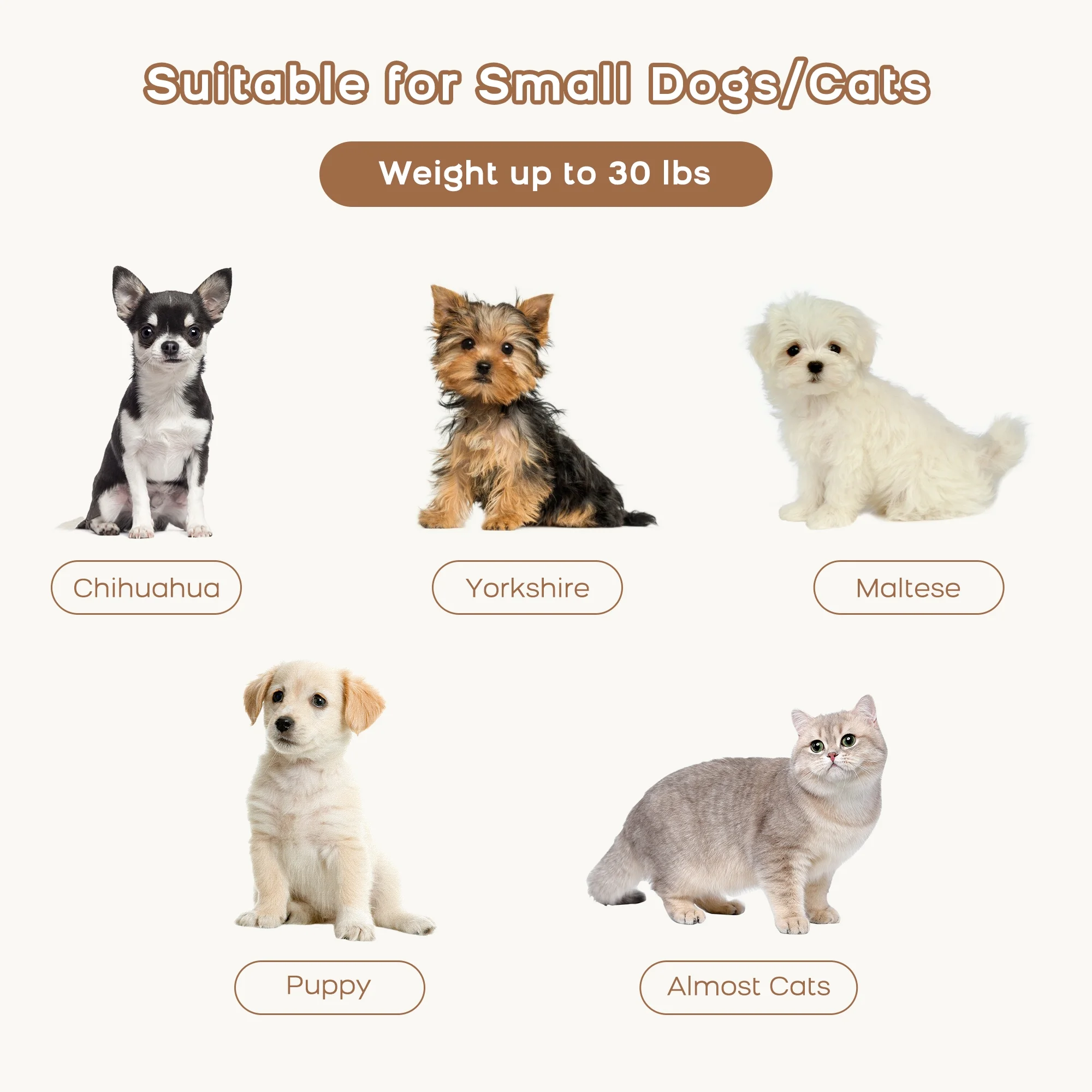 DAWNYIELD Fluffly Deluxe Pet Bed Sofa Chocolate Leopard grain, Small