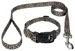 Country Brook Petz® Deluxe Cheetah Dog Collar and Leash, Extra Large