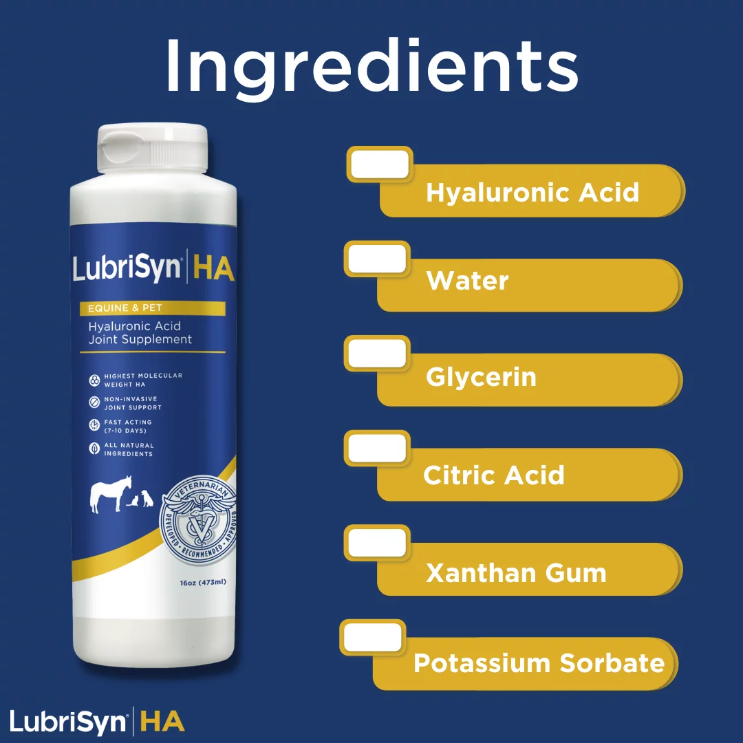 LubriSyn HA Natural Joint Supplement for Dog Cat  Equine 16 oz.