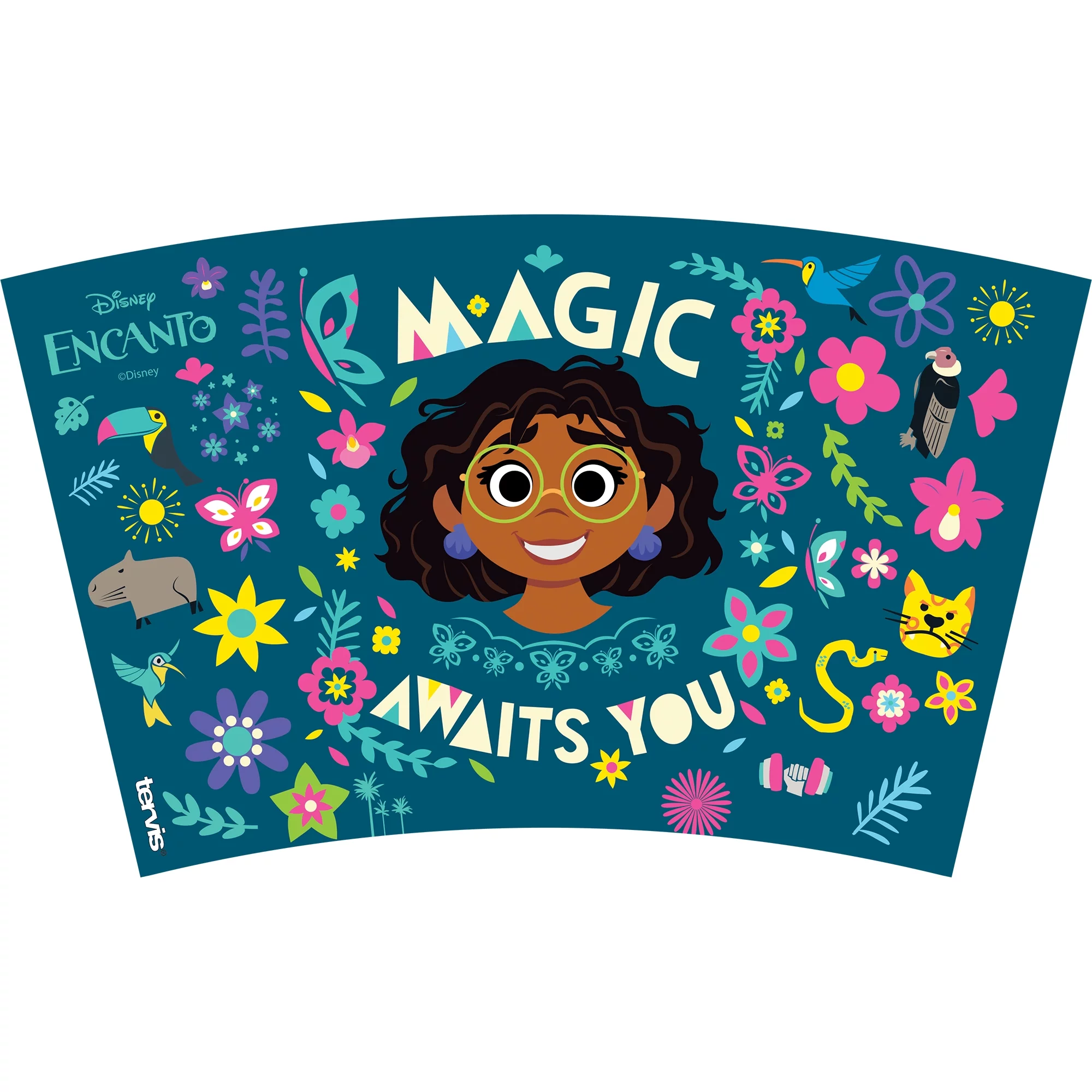 Tervis Disney - Encanto Made in USA Double Walled  Insulated Tumbler Travel Cup Keeps Drinks Cold & Hot, 16oz, Clear