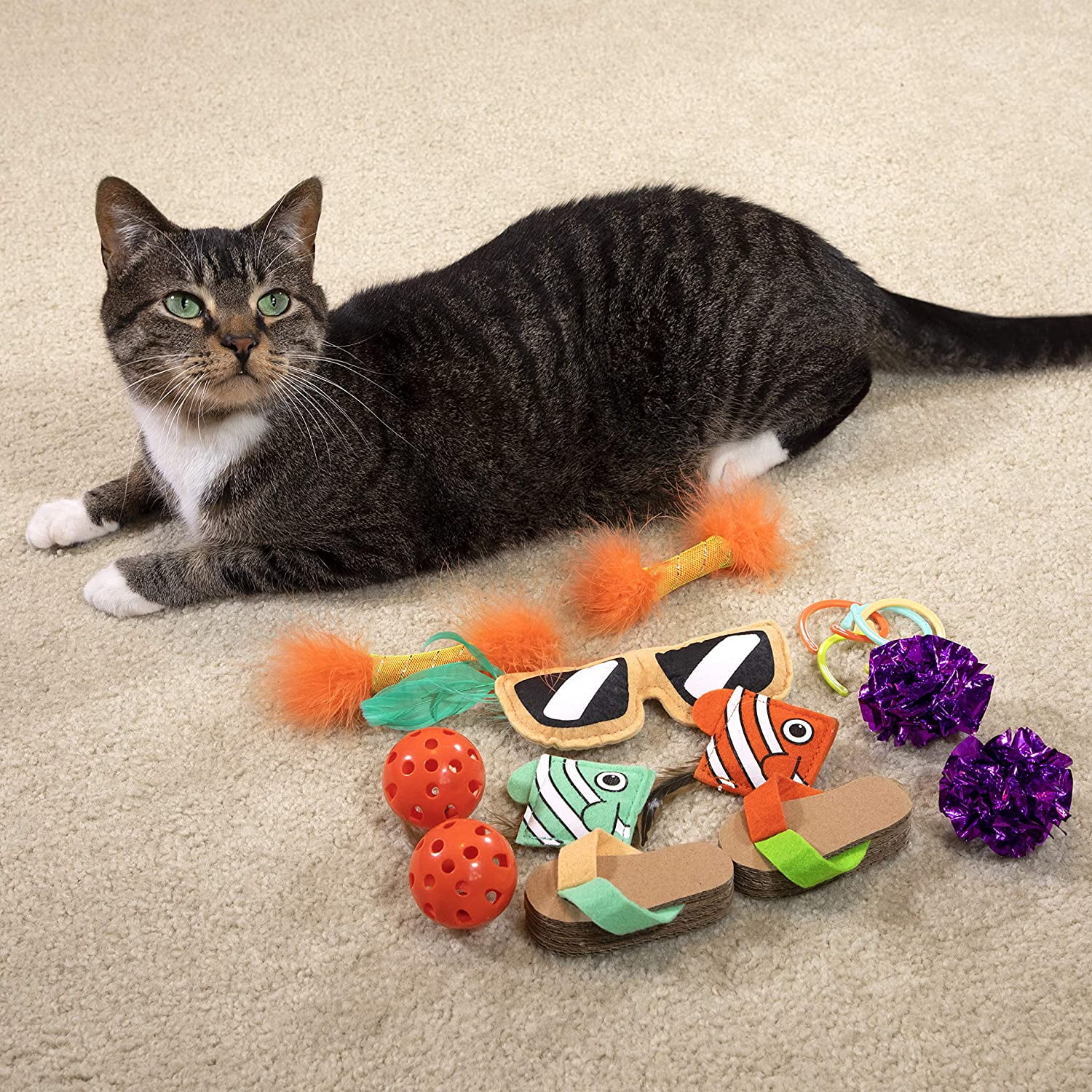 Kitty City Swat Track Cat Toy, 3 Toys in 1 Cat Toy, Deluxe and Basic Cat Toy Box, Ball Track