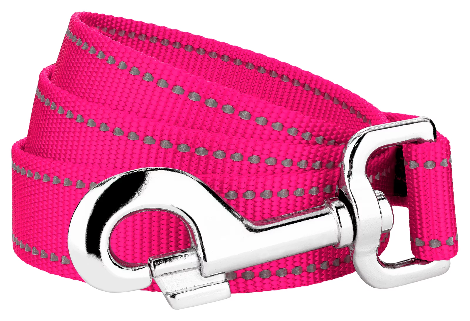 Country Brook Petz® 3/4 inch Hot Pink Reflective Nylon Dog Leash, 6 Foot