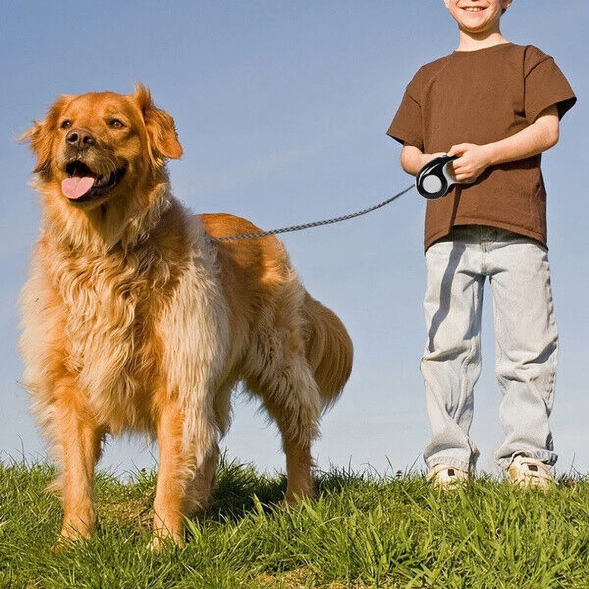 3/5M Automatic Retractable Walking Running Leads Dog Leashes Dogs Pet Products