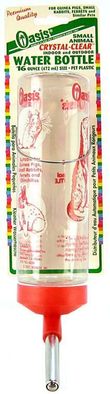 Oasis Crystal Clear Water Bottle 16 oz Pack of 3