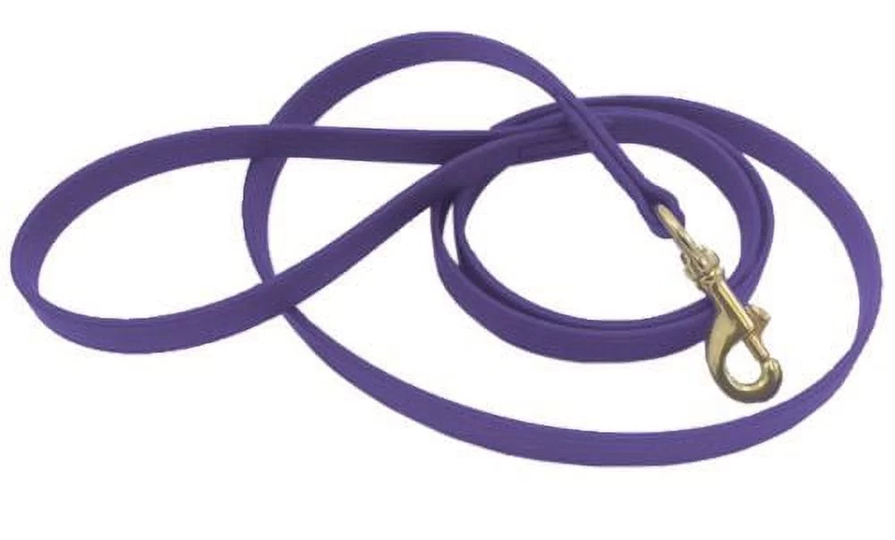 J&J Dog Supplies Biothane Dog Leash, 3/4