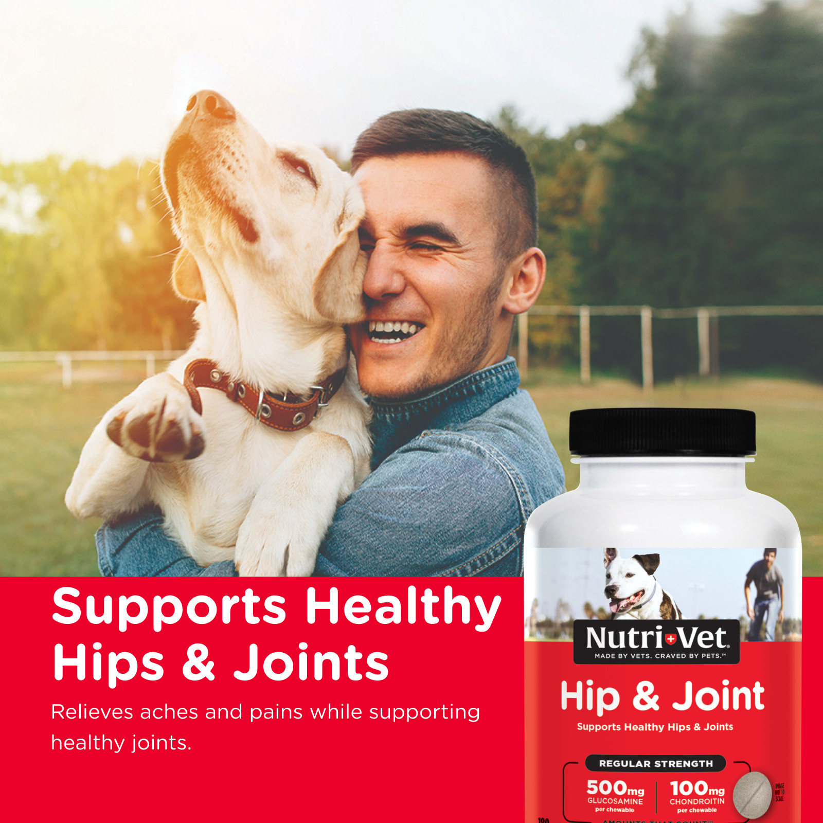 Nutri-Vet Hip & Joint Regular Strength Chewable Supplements for Dogs, 180 Count