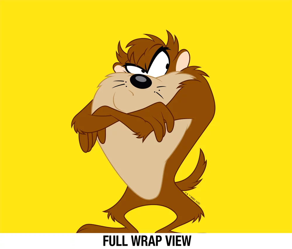 Looney Tunes Official Taz 24 oz Insulated Canteen Water Bottle, Leak Resistant, Vacuum Insulated Stainless Steel with Loop Cap, Black