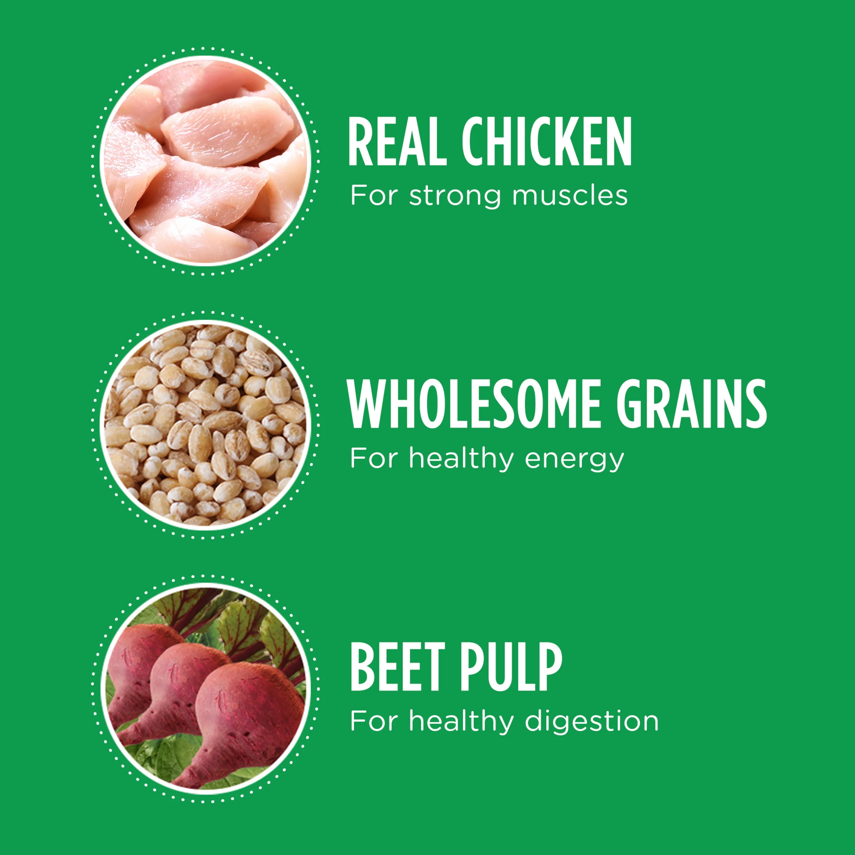 Iams Proactive Health Minichunks Adult Small Kibble Dry Dog Food With Real Chicken, 3.3 Lb. Bag