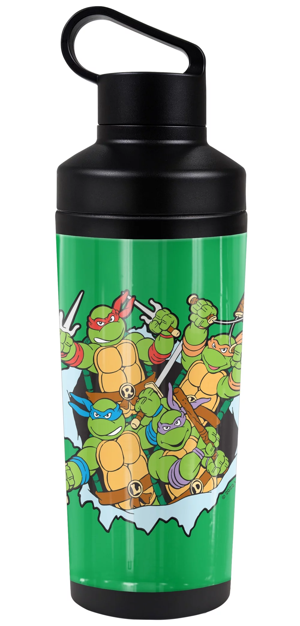 Teenage Mutant Ninja Turtles TMNT Official Turtles And Logo 18 oz Insulated Water Bottle, Leak Resistant, Vacuum Insulated Stainless Steel with 2-in-1 Loop Cap