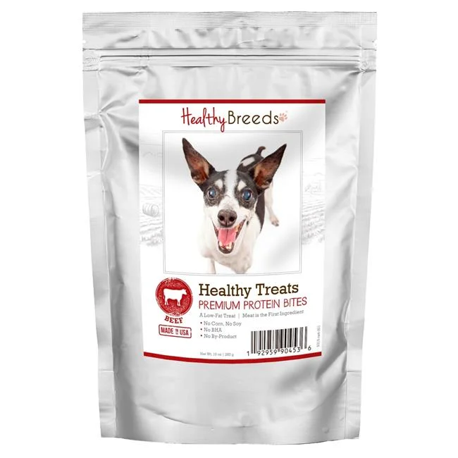 Rat Terrier Healthy Treats Premium Protein Bites Beef Dog Treats, 10 oz