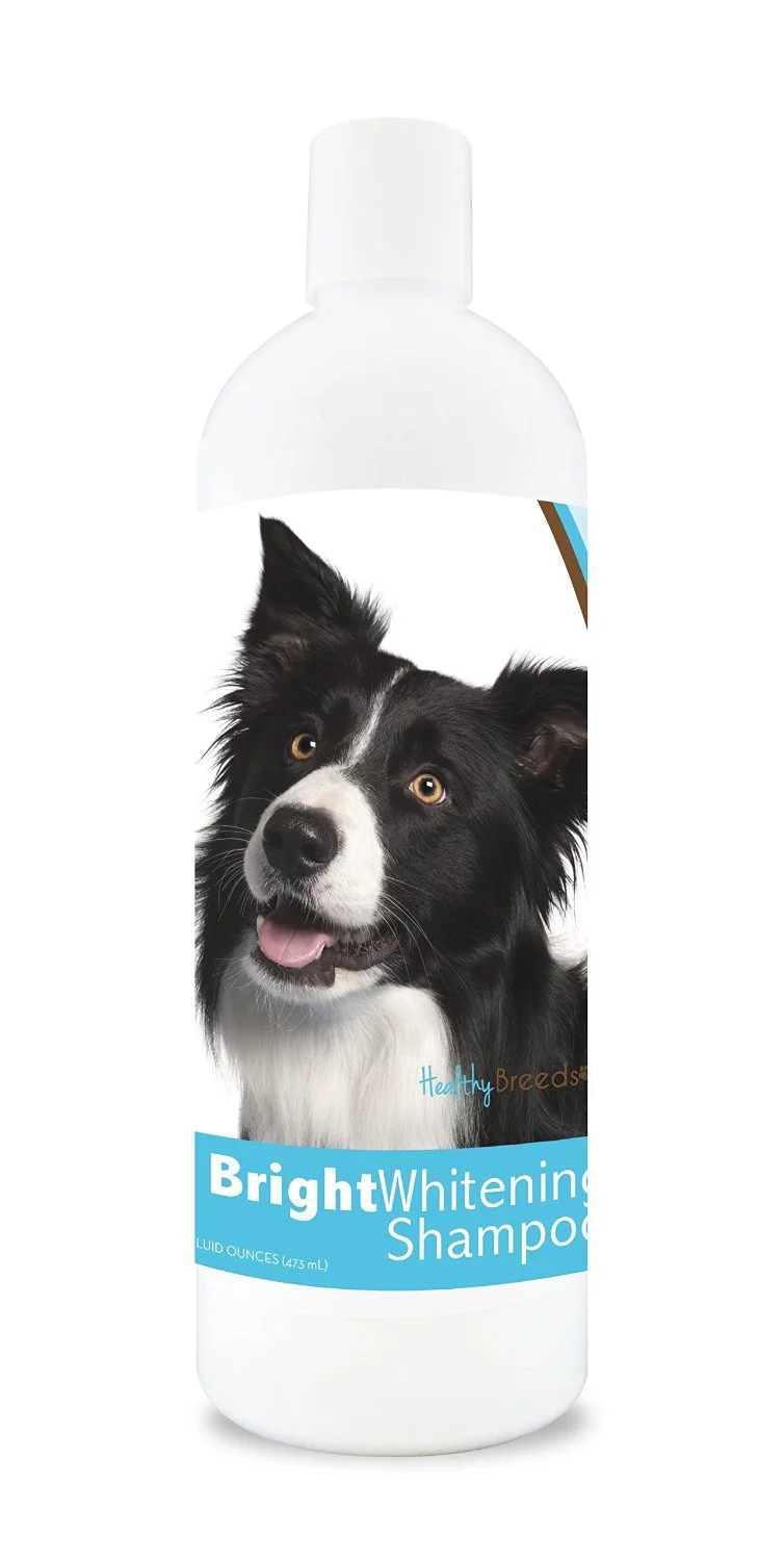 Healthy Breeds Border Collie Bright Whitening Dog Shampoo 12 oz