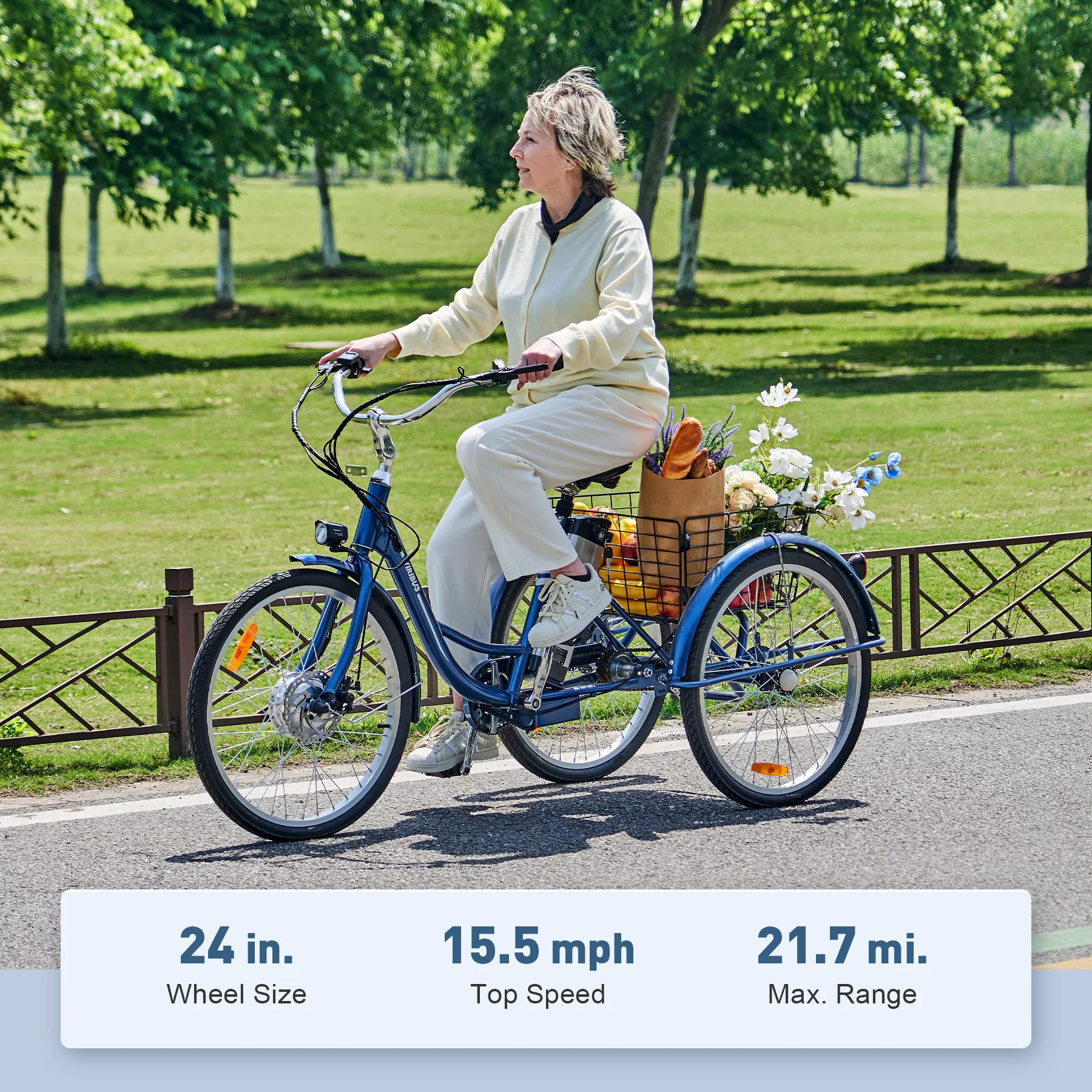 VIRIBUS 24 Inch Adult Trike 350W Dual Chain Electric Tricycle 36V 10Ah Navy