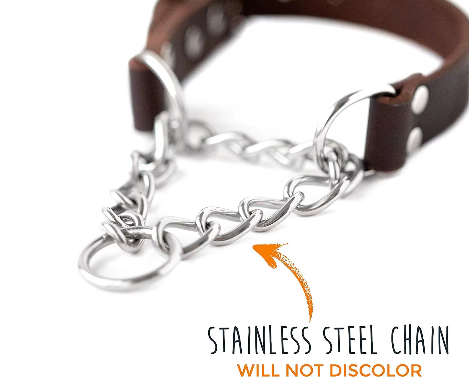 Mighty Paw Leather Training Collar, Martingale Collar, Stainless Steel Chain - Limited Chain Cinch Collar