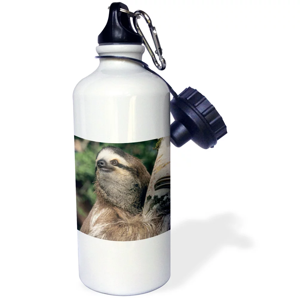 Three-toed Sloth wildlife, Costa Rica - SA22 KSC0126 - Kevin Schafer 21 oz Sports Water Bottle wb-87216-1