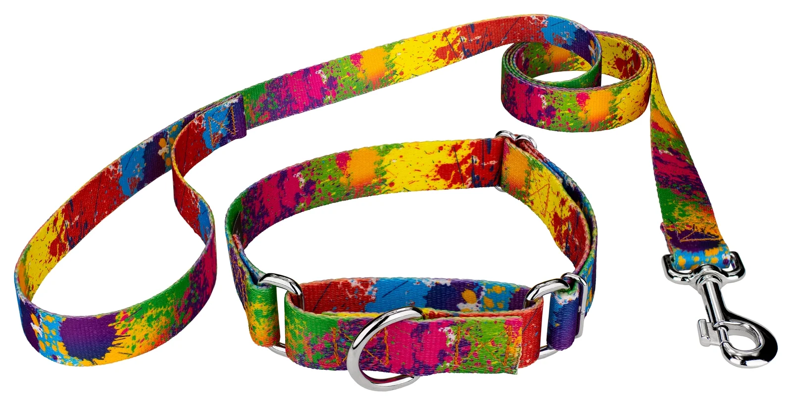 Country Brook Petz® Paint Splatter Martingale Dog Collar and Leash, Extra Small