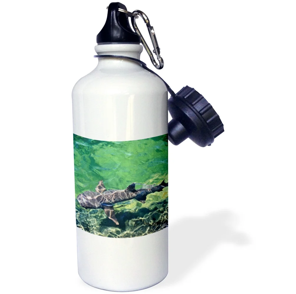 3dRose White-tipped Reef Shark,Triaenodon obesus,Punta Moreno Isabela Island Galapagos, Sports Water Bottle, 21oz