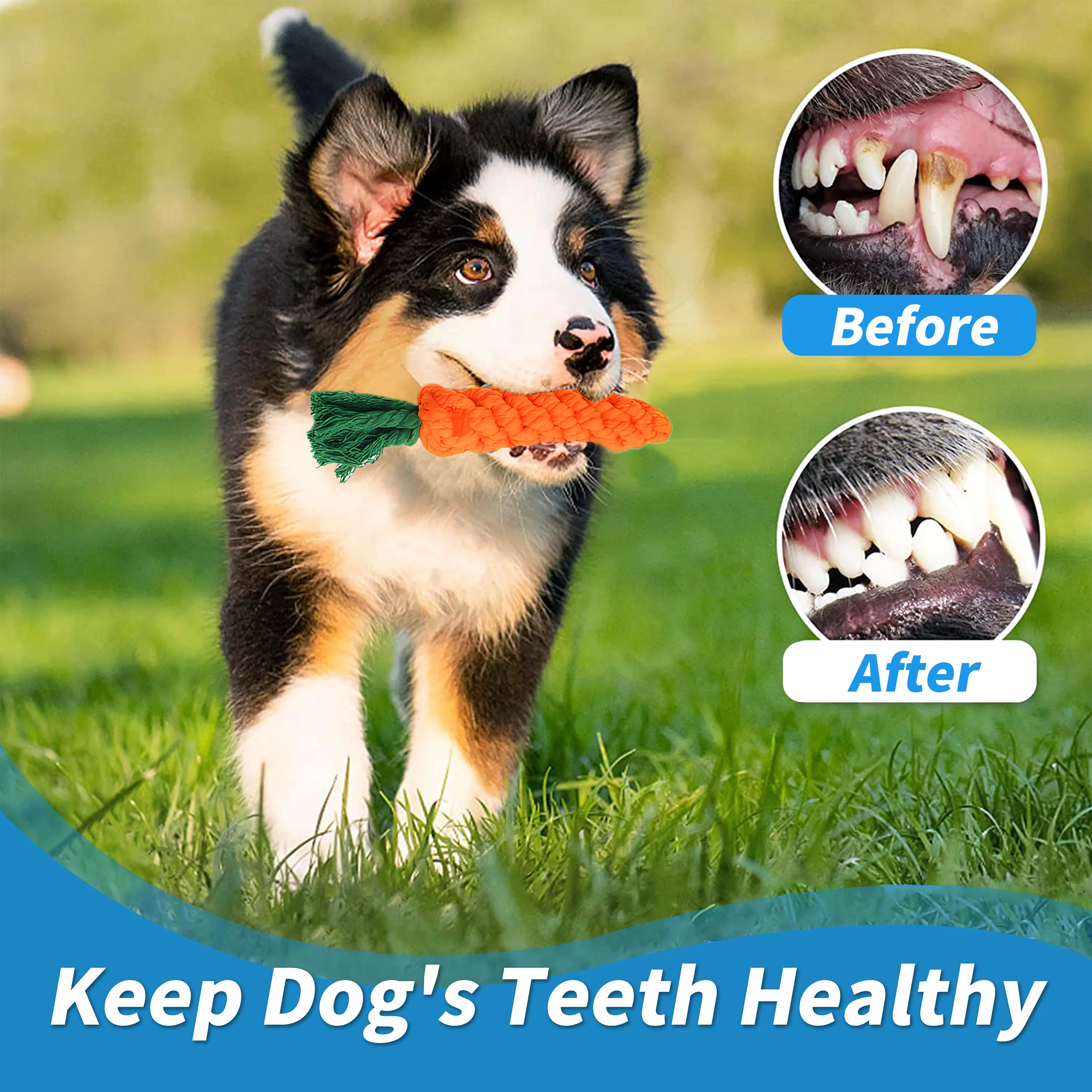 WZCPCV Dog Rope Toys Dog Chew Toys for Aggressive Chewers, Safety Material of Puppy Dog Teething Toys,Dog Toys for Small&Medium&Large Dog-10 Pack