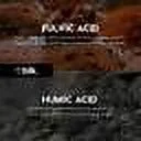 BLK Black Cherry Fulvic Enriched Water 16.9oz / 500ml (12 Pack)