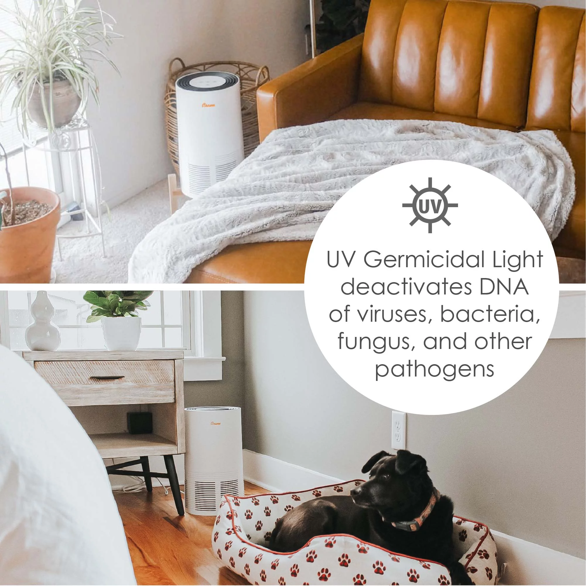 Crane - USA True HEPA Tower Air Purifier with UV Light, 300 Sq feet Coverage, White