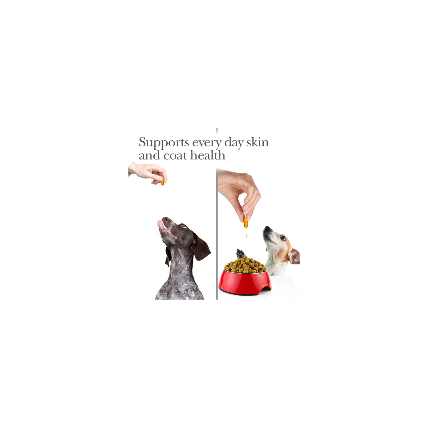 Nutri-Vet Fish Oil Supplements for Dogs, 100 Count