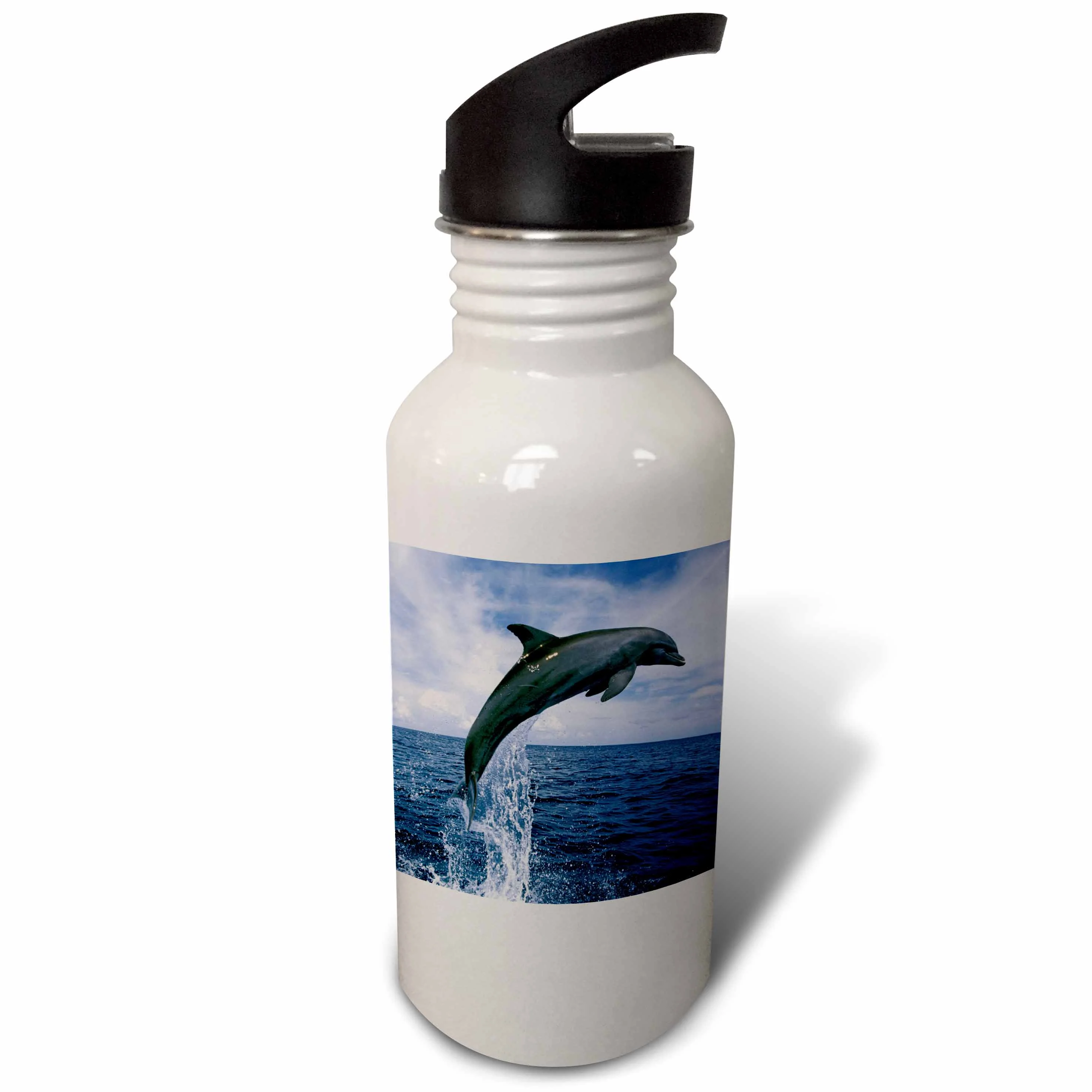 Honduras. Bottlenose Dolphin - SA12 SWE0053 - Stuart Westmorland 21 oz Sports Water Bottle wb-86573-1