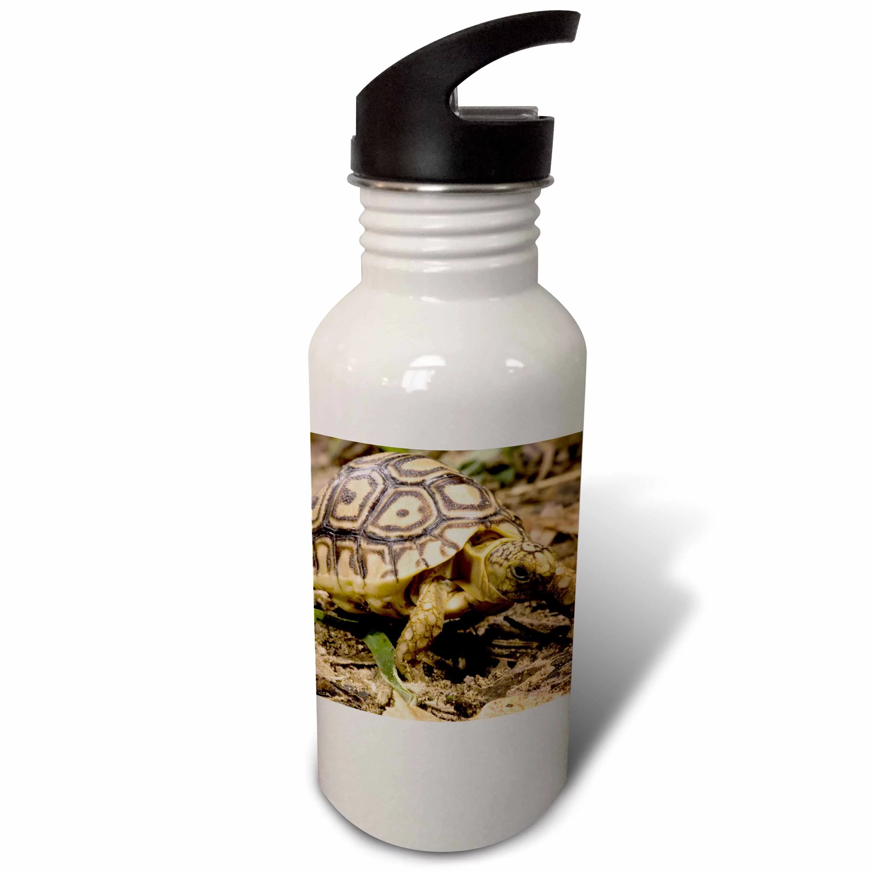 Leopard tortoise, Kenya - US39 JMC0032 - Joe and Mary Ann McDonald 21 oz Sports Water Bottle wb-94197-1