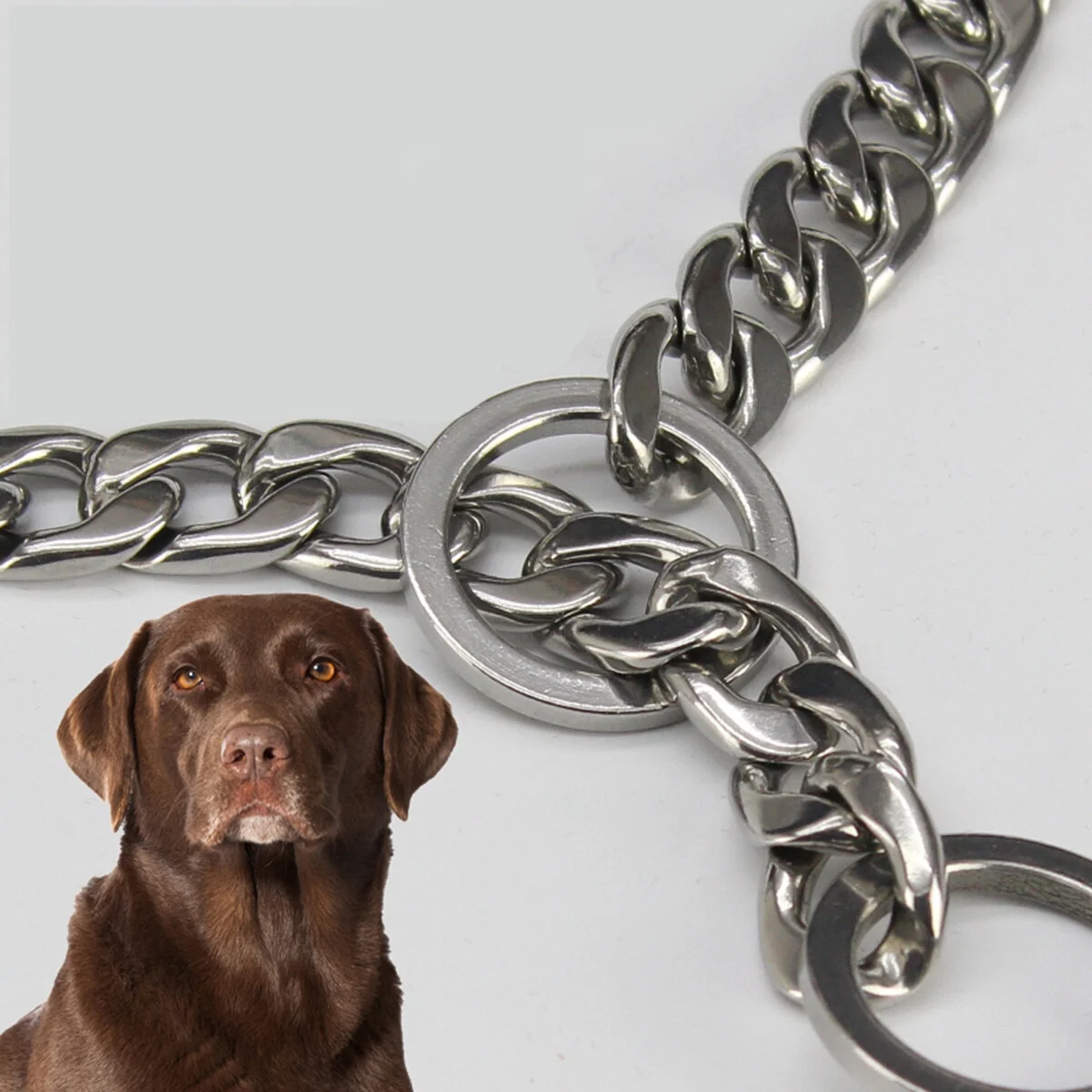 OUNONA Leash Dog Pet Chain Rope Walking Running Belt Metal Training Puppy Choke Collar Cat Traction