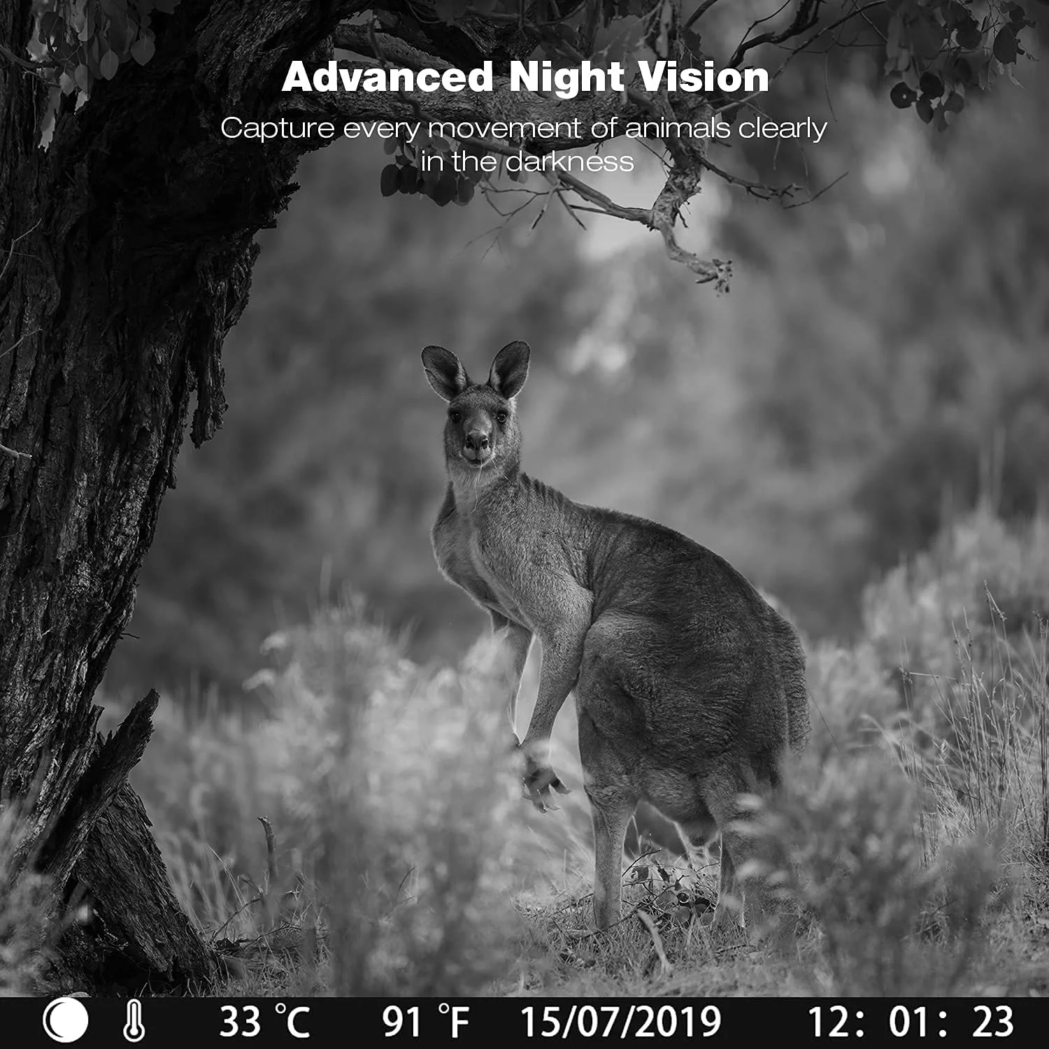 CAMPARK Trail Camera 1080P Game Hunting Camera with Night Vision Waterproof Motion Activated Trail Cam with SD Card