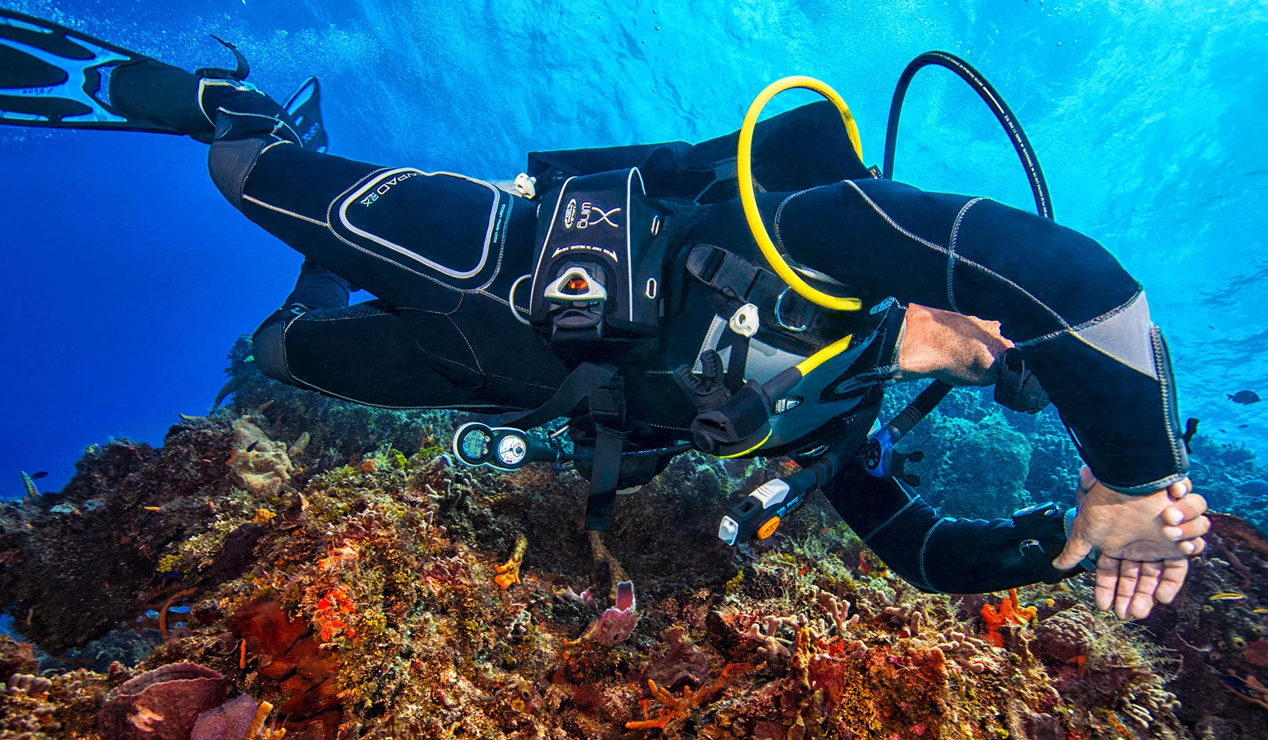 Tusa Vesna Scuba Dive Fin - Small - Black