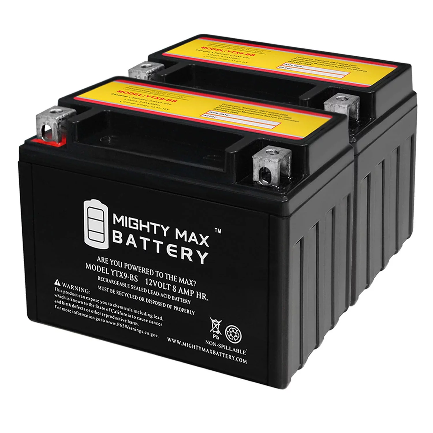 YTX9-BS Battery Replacement for SYM Joyride 200 2002-2003 - 2 Pack