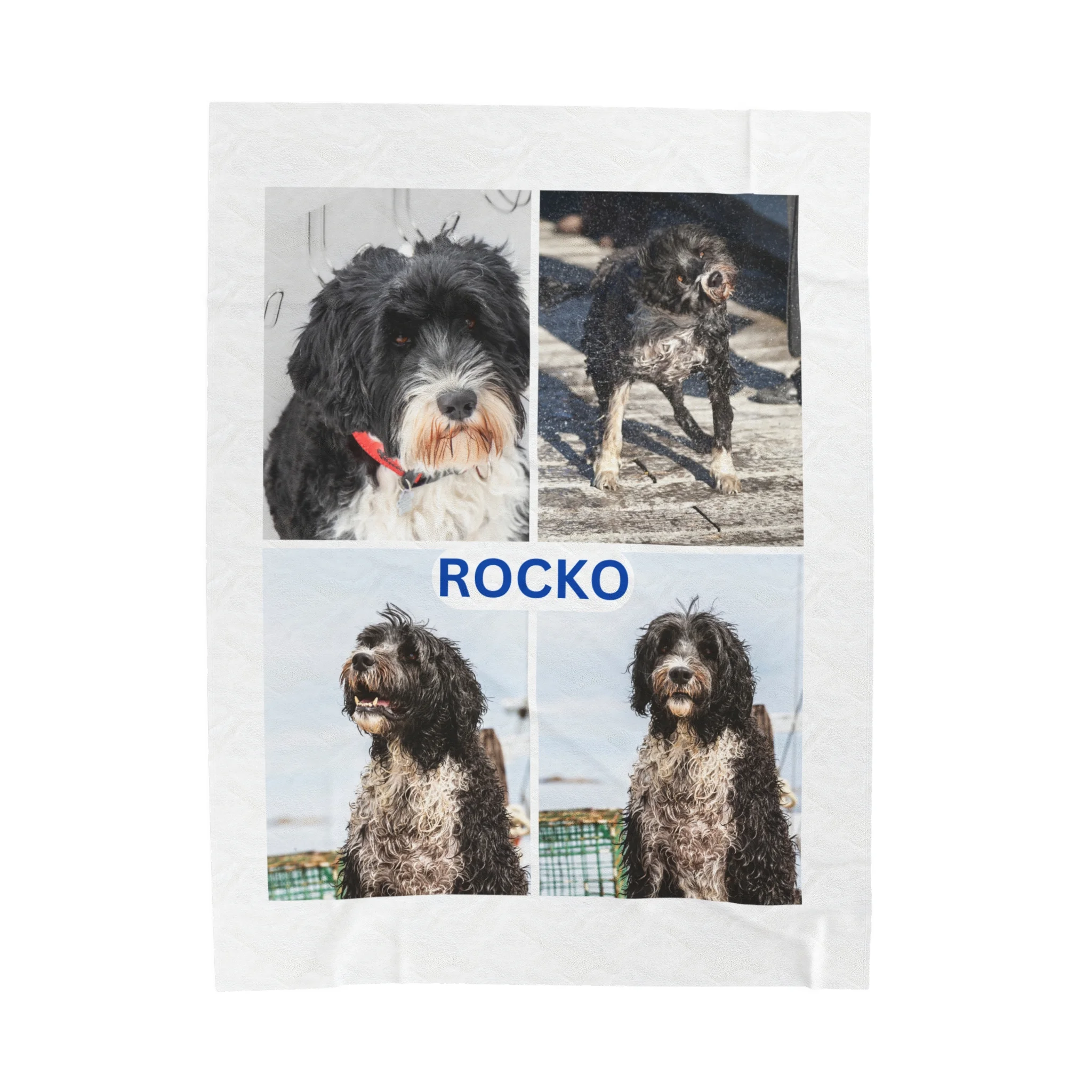 Portuguese Water Dog Custom Photo Blanket Personalized 30x40 50x60 60x80