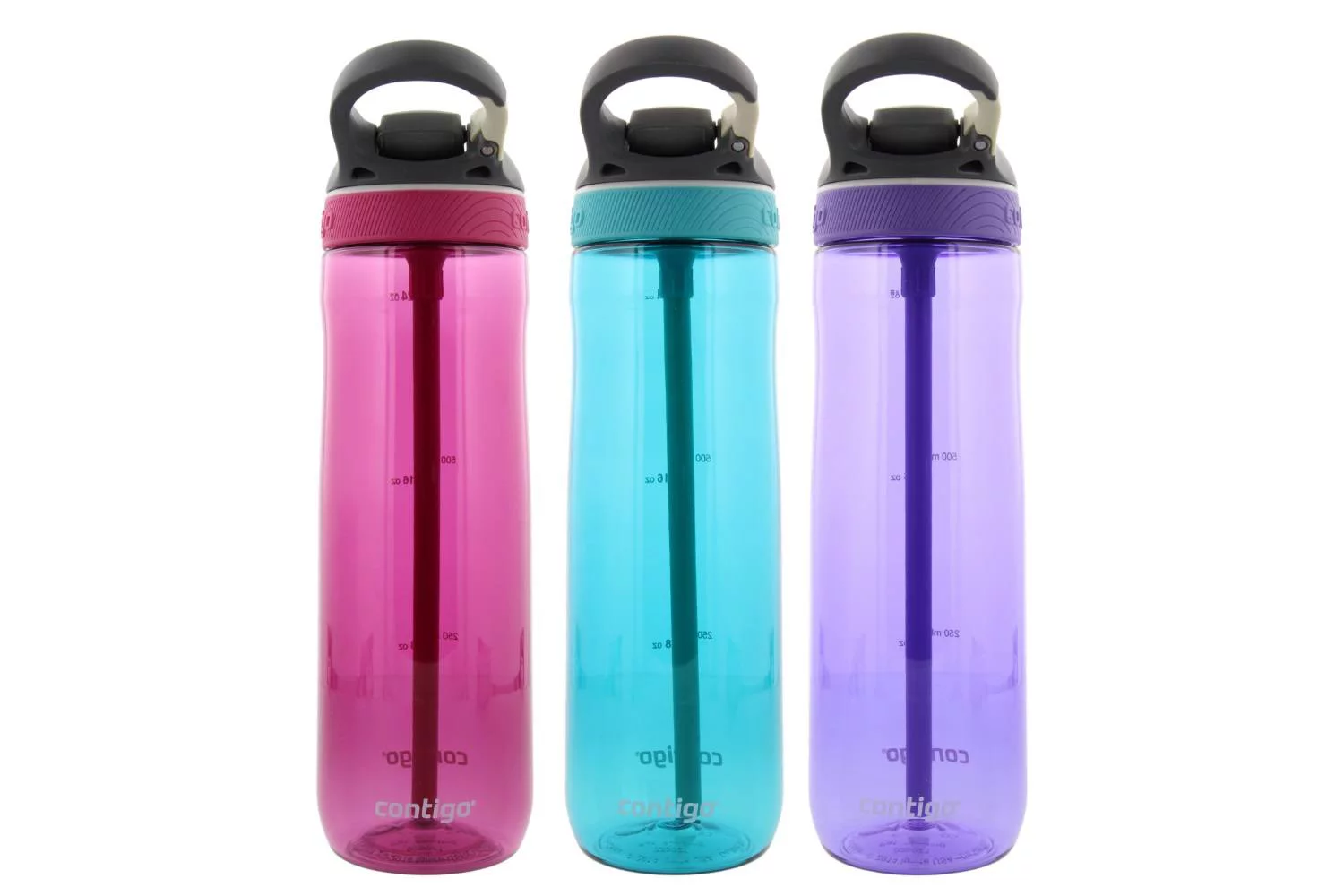 Contigo Autospout Ashland Water Bottle, 24oz - Scuba, Grapevine, Berry (3 Pack)