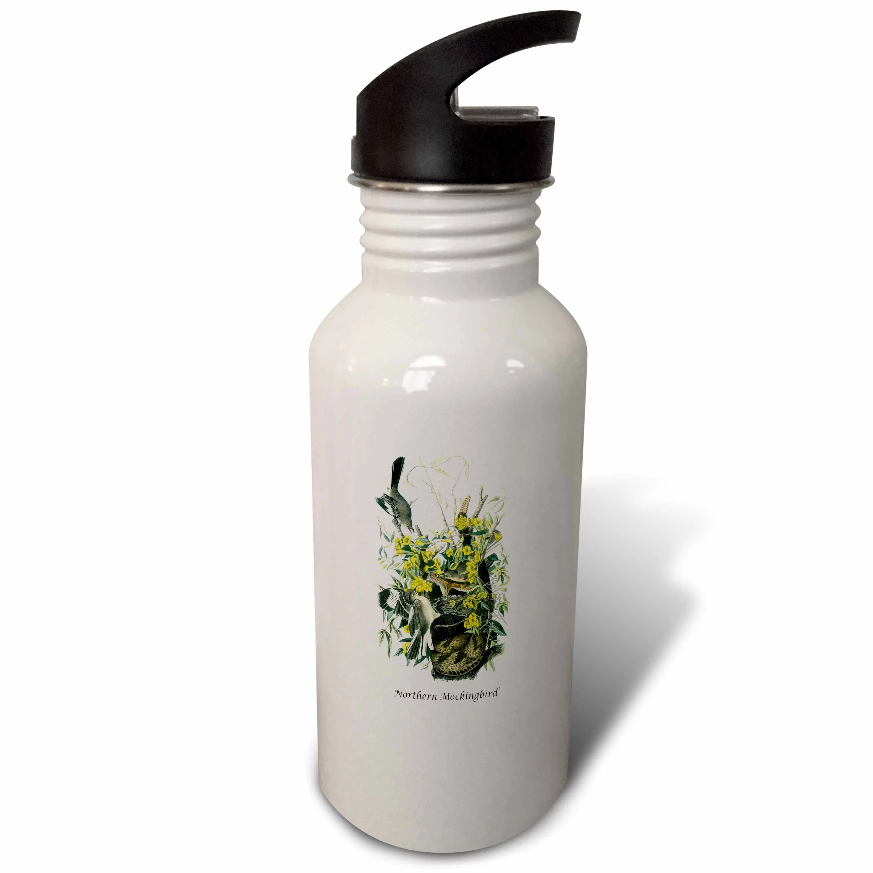 Northern Mockingbird by John James Audubon 21 oz Sports Water Bottle wb-114035-1