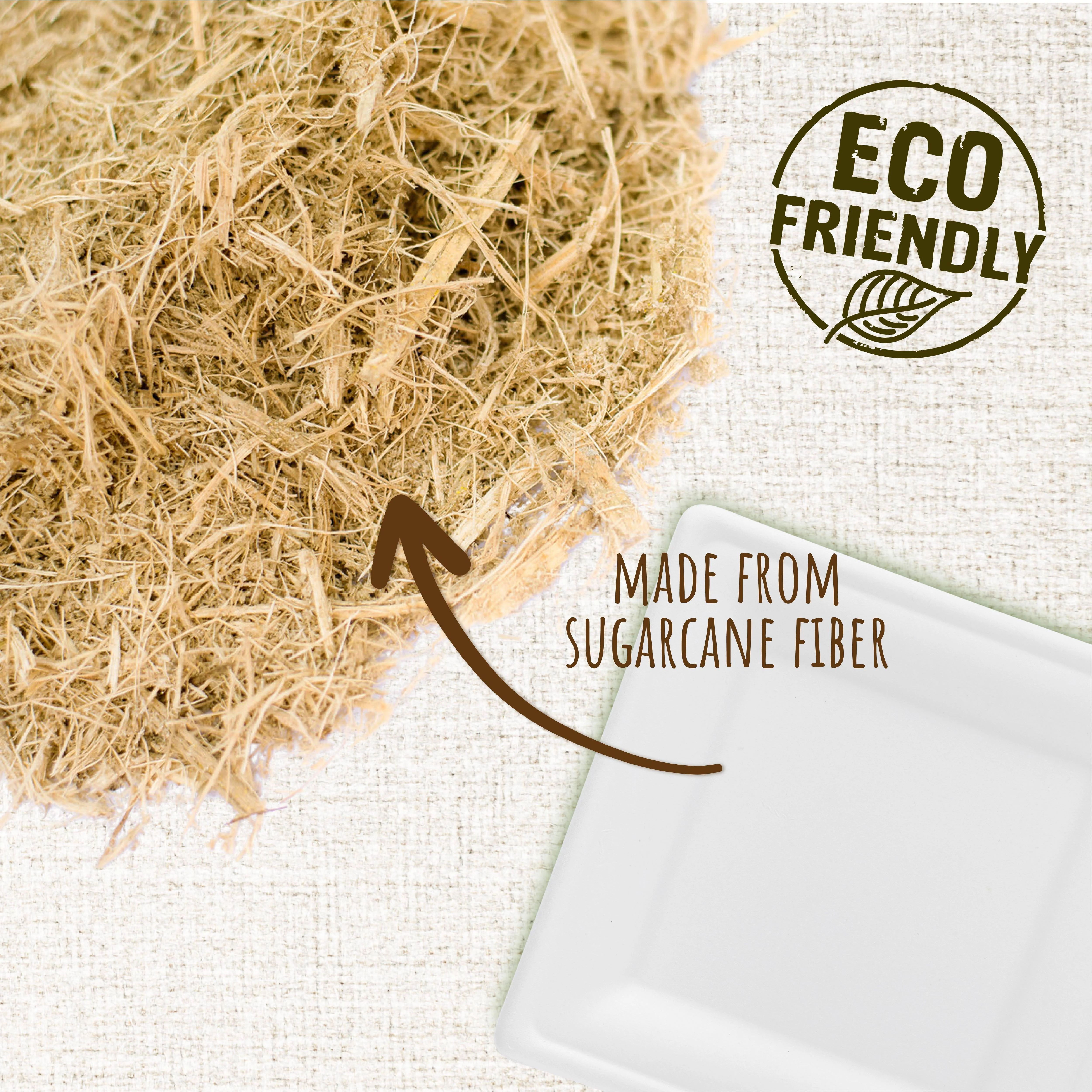 Brheez Heavy Duty Square Disposable Plates - 100% Biodegradable, Compostable Sugarcane, 8
