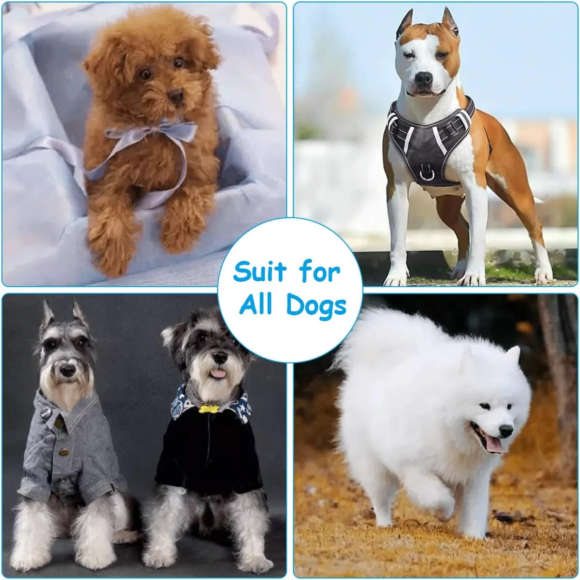 JYPS Puppy Dog Chew Toys, 8pcs Dog Toy Set Teething Training, Chewing Toys for Aggressive Chewers, Interactive Pink Dog Rope and ball Toys Gift Xmas for 8 Weeks Small Puppies, Medium and Large Dogs