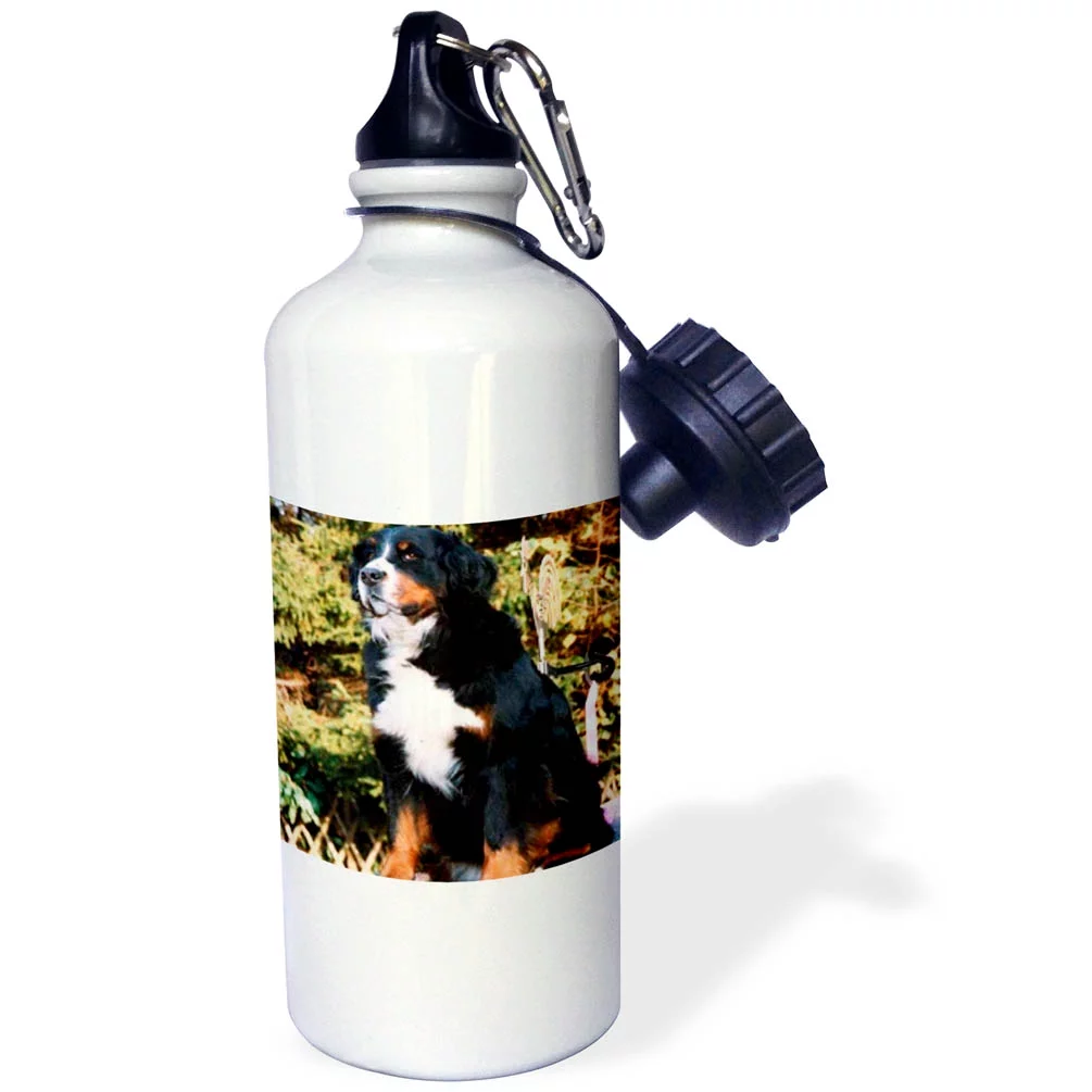 3dRose Bernese Mountain Dog, Sports Water Bottle, 21oz